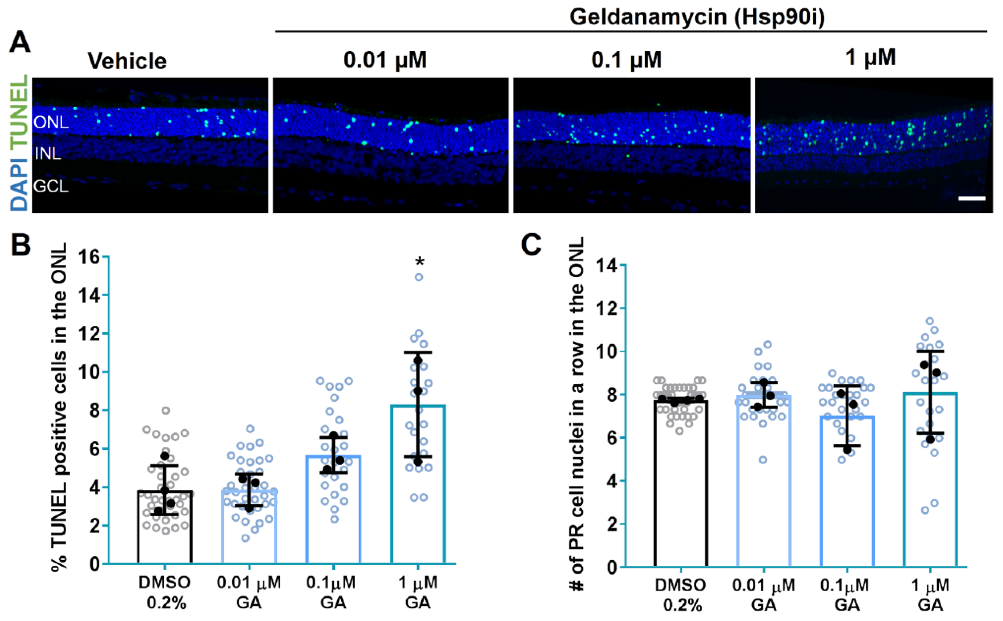 Biomolecules 11 01528 g002