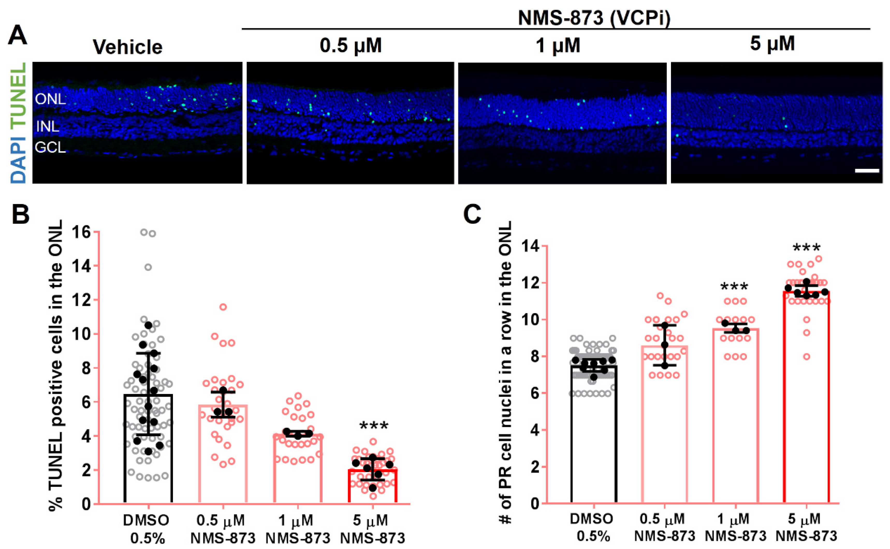 Biomolecules 11 01528 g004
