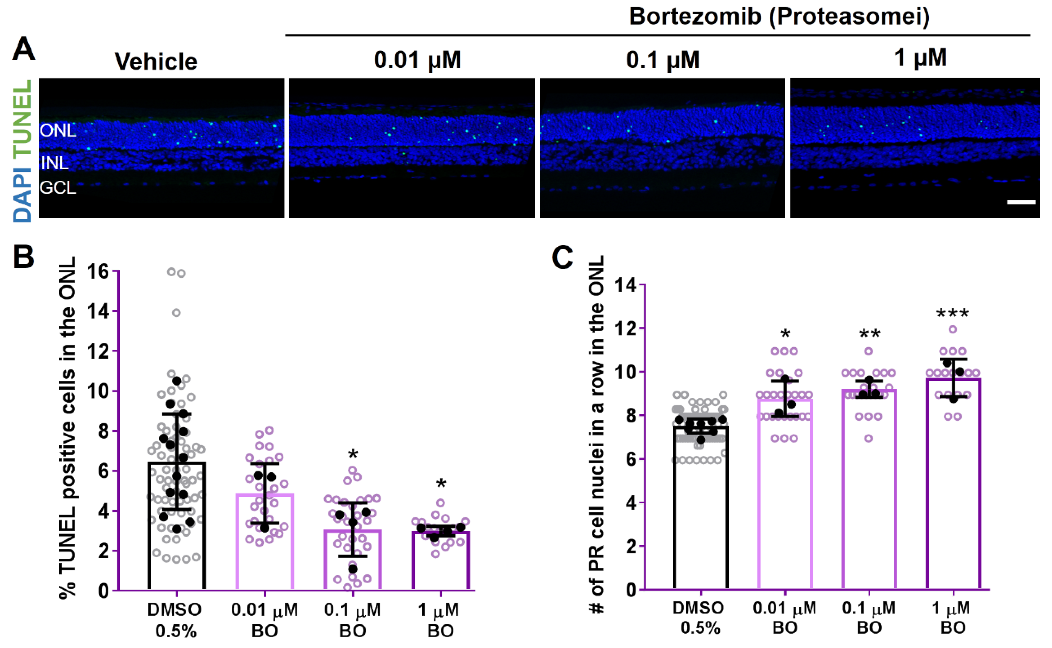 Biomolecules 11 01528 g005