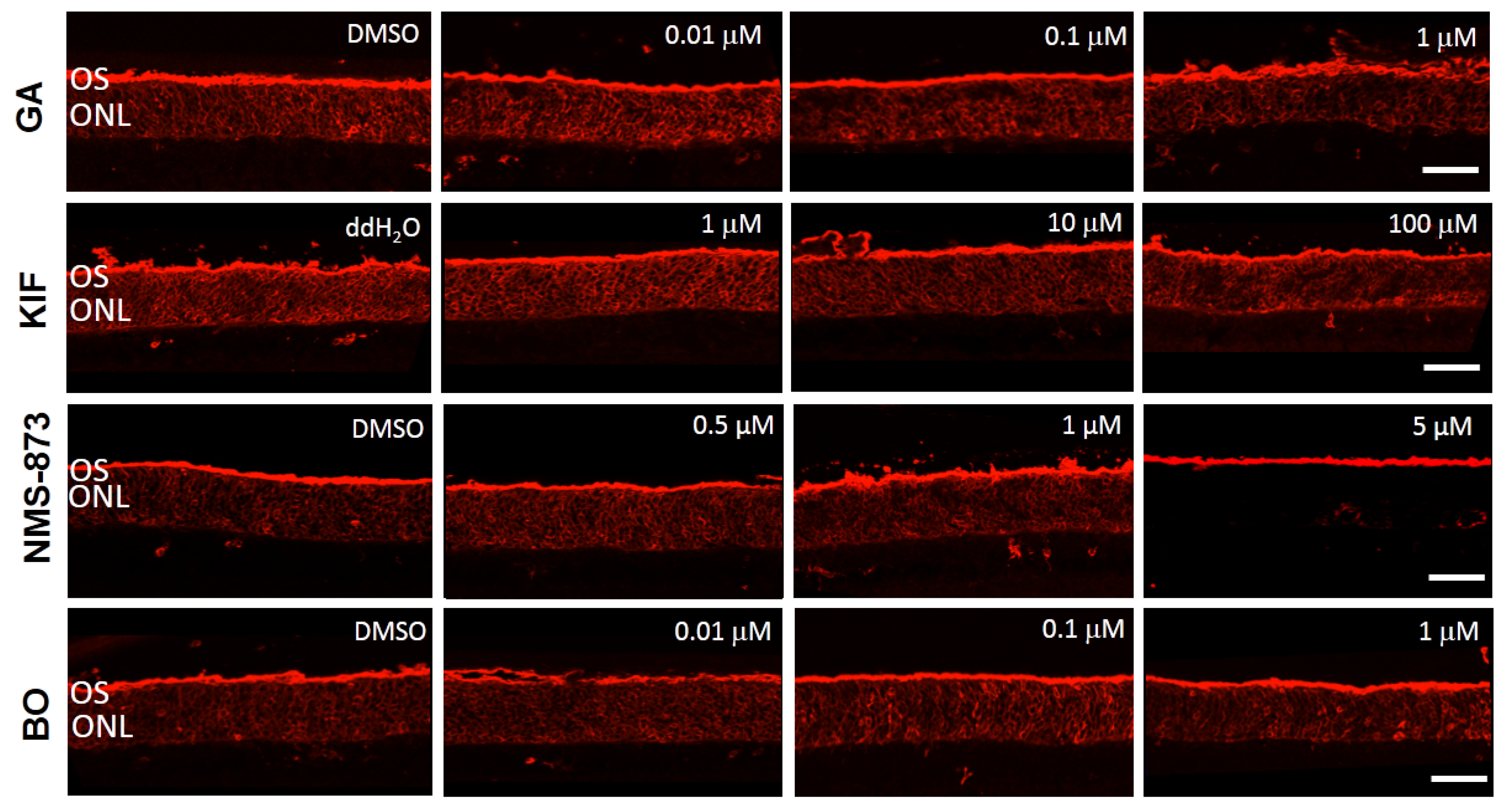Biomolecules 11 01528 g006
