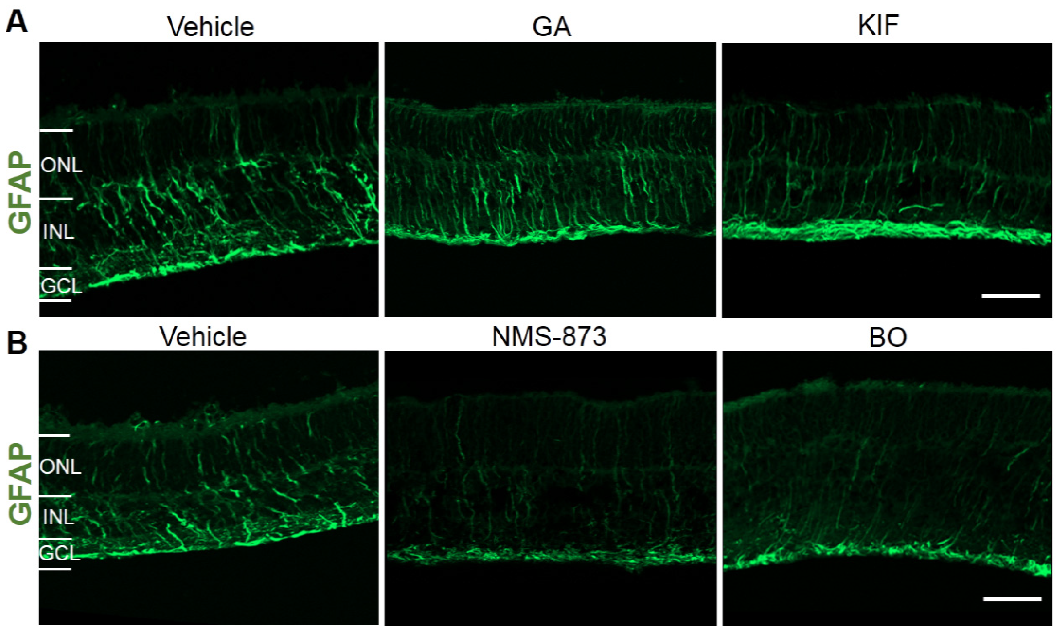 Biomolecules 11 01528 g007