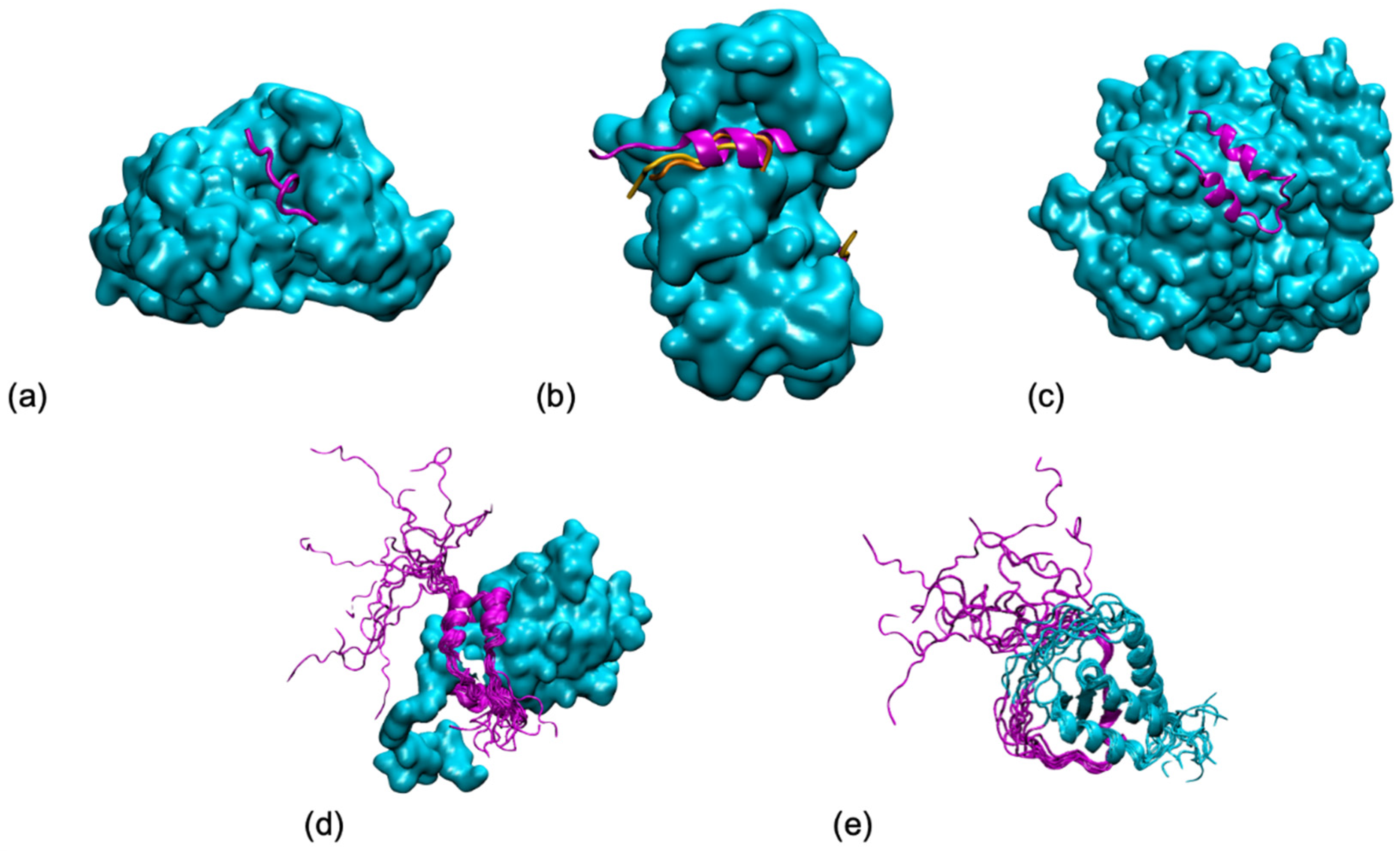 Biomolecules 11 01529 g001