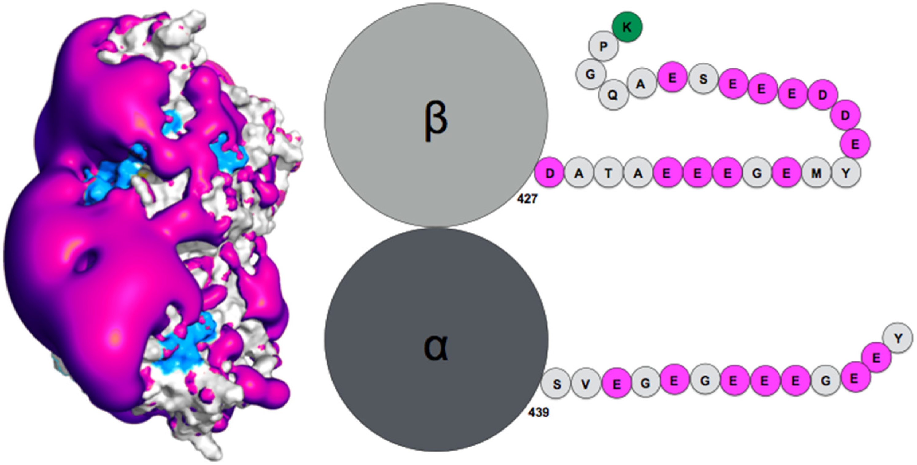 Biomolecules 11 01529 g002