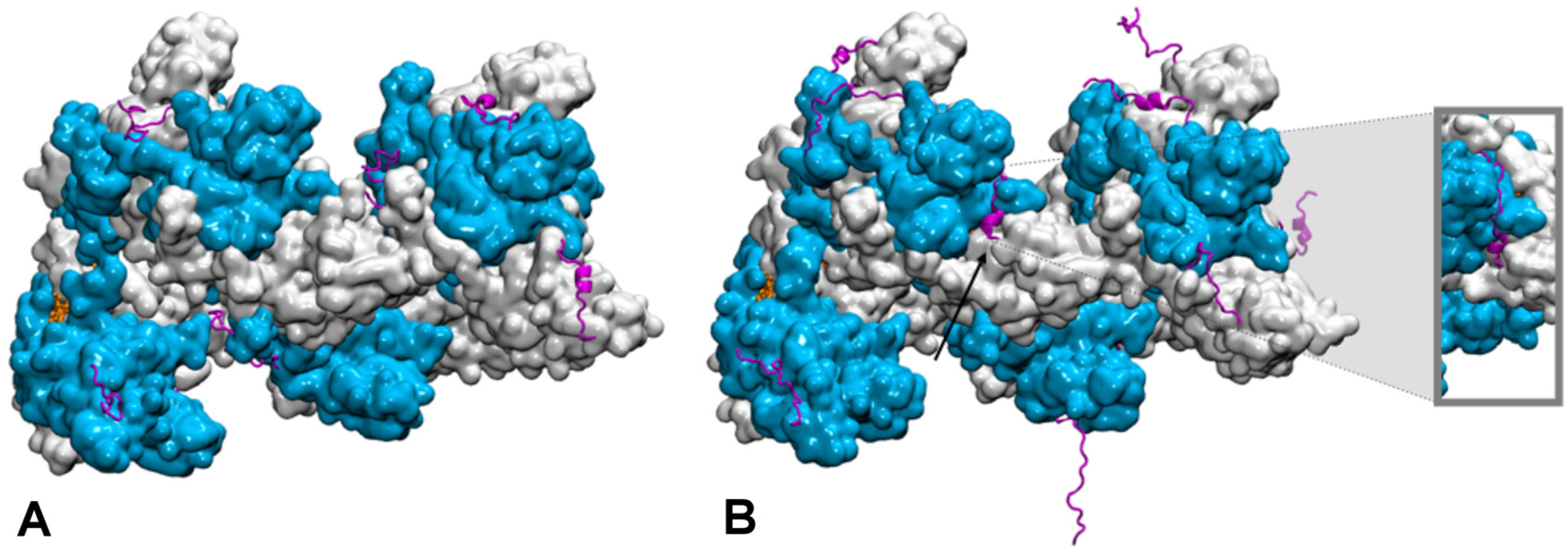 Biomolecules 11 01529 g003