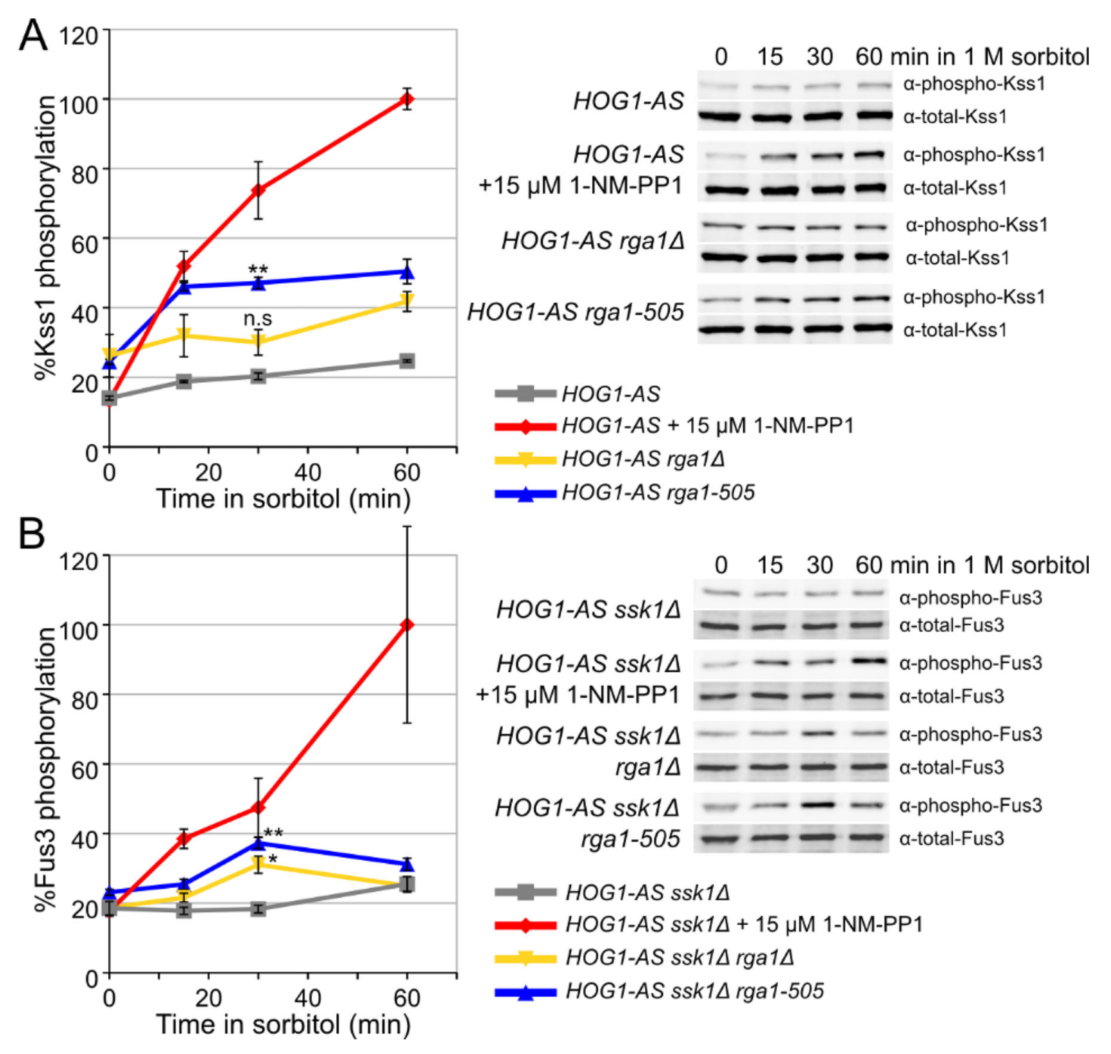 Biomolecules 11 01530 g003
