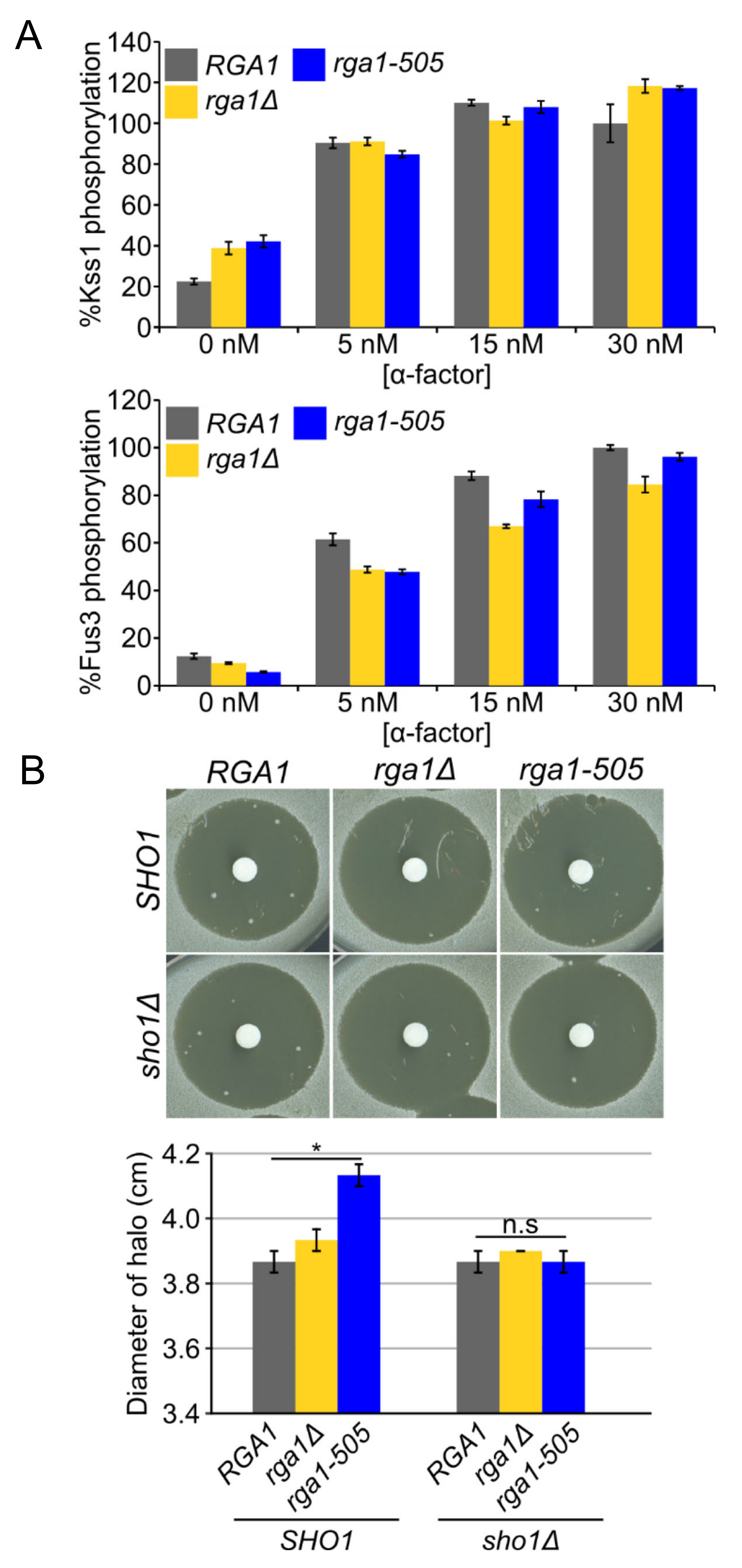Biomolecules 11 01530 g004