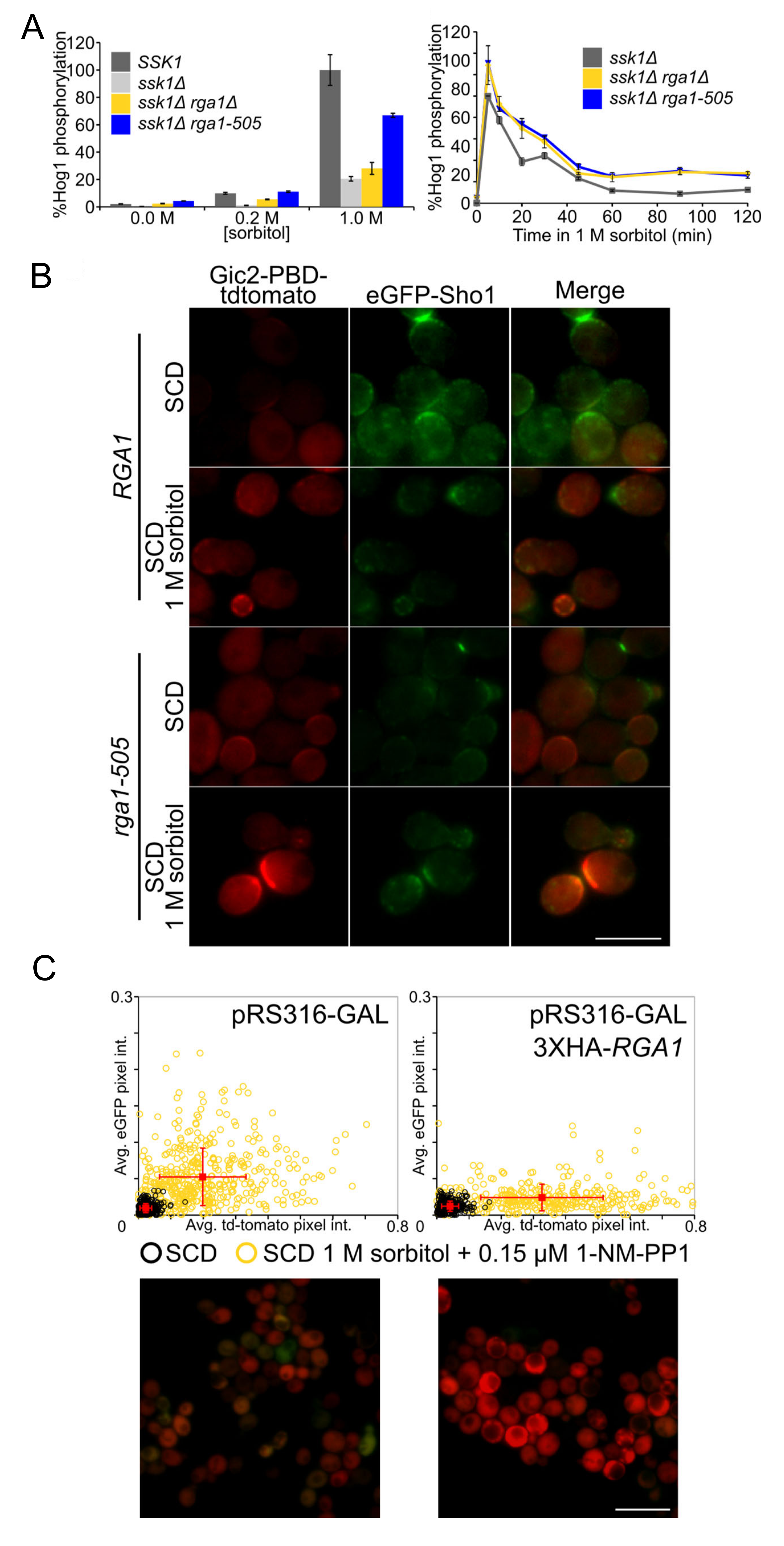 Biomolecules 11 01530 g005