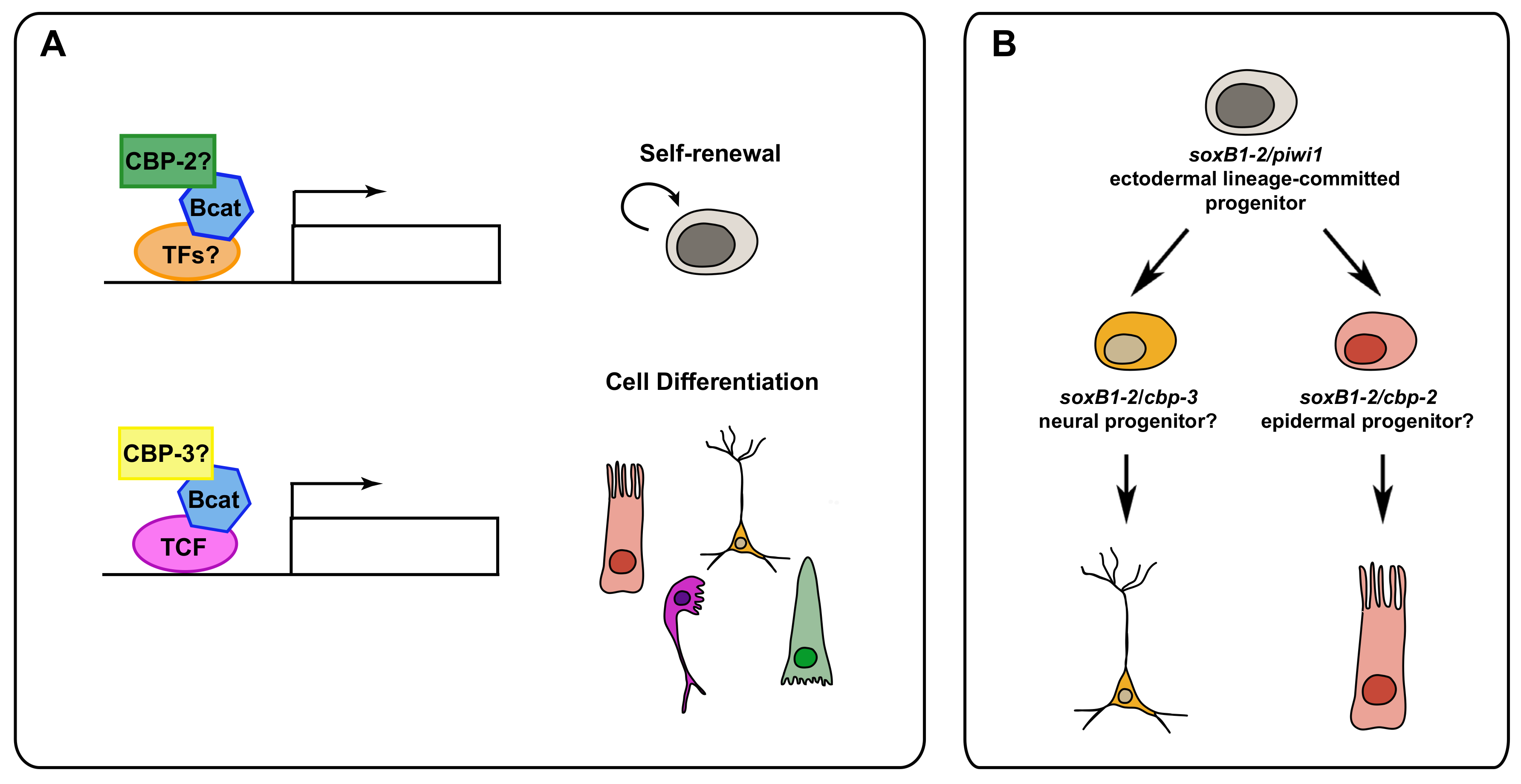 Biomolecules 11 01532 g004