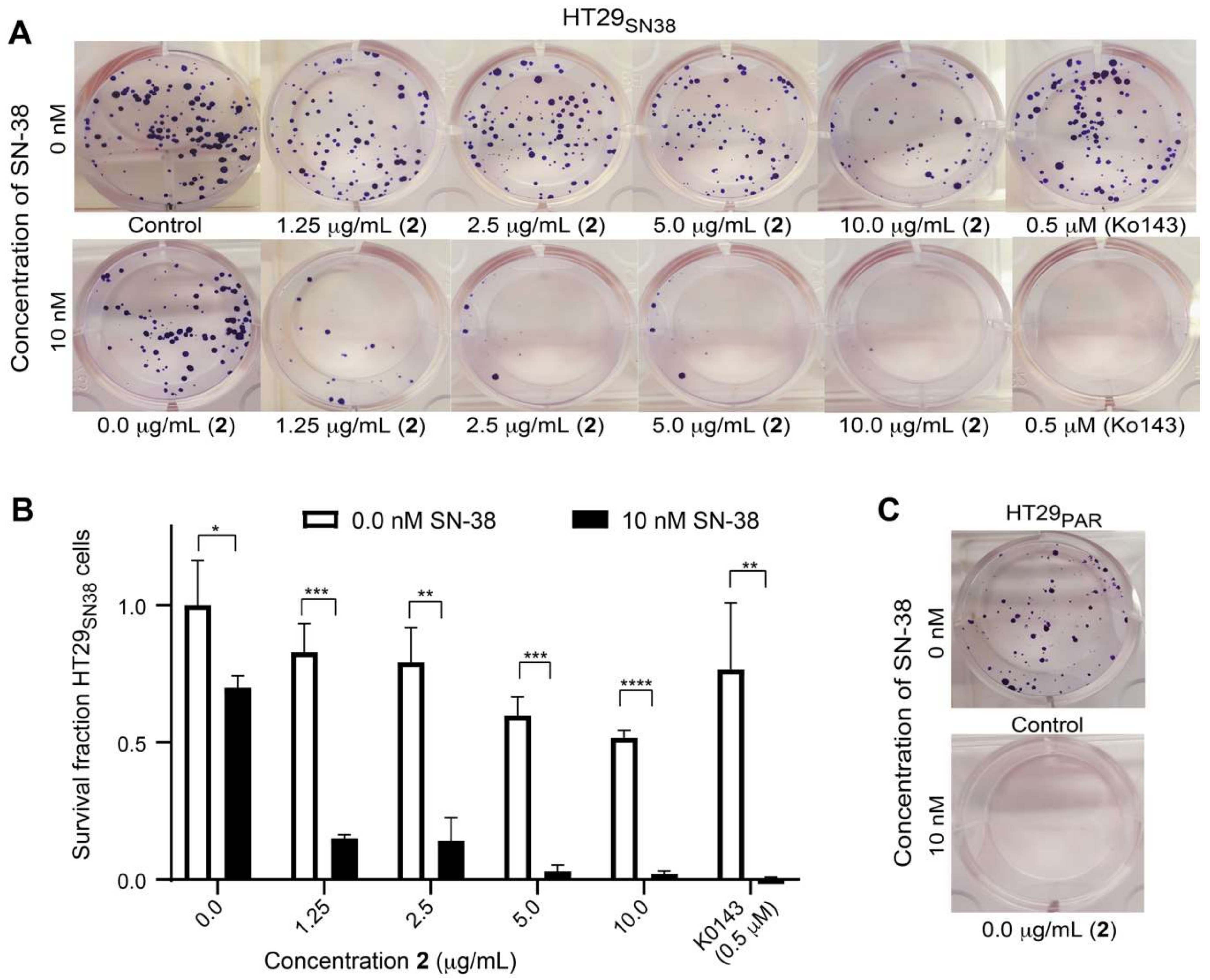 Biomolecules 11 01534 g008