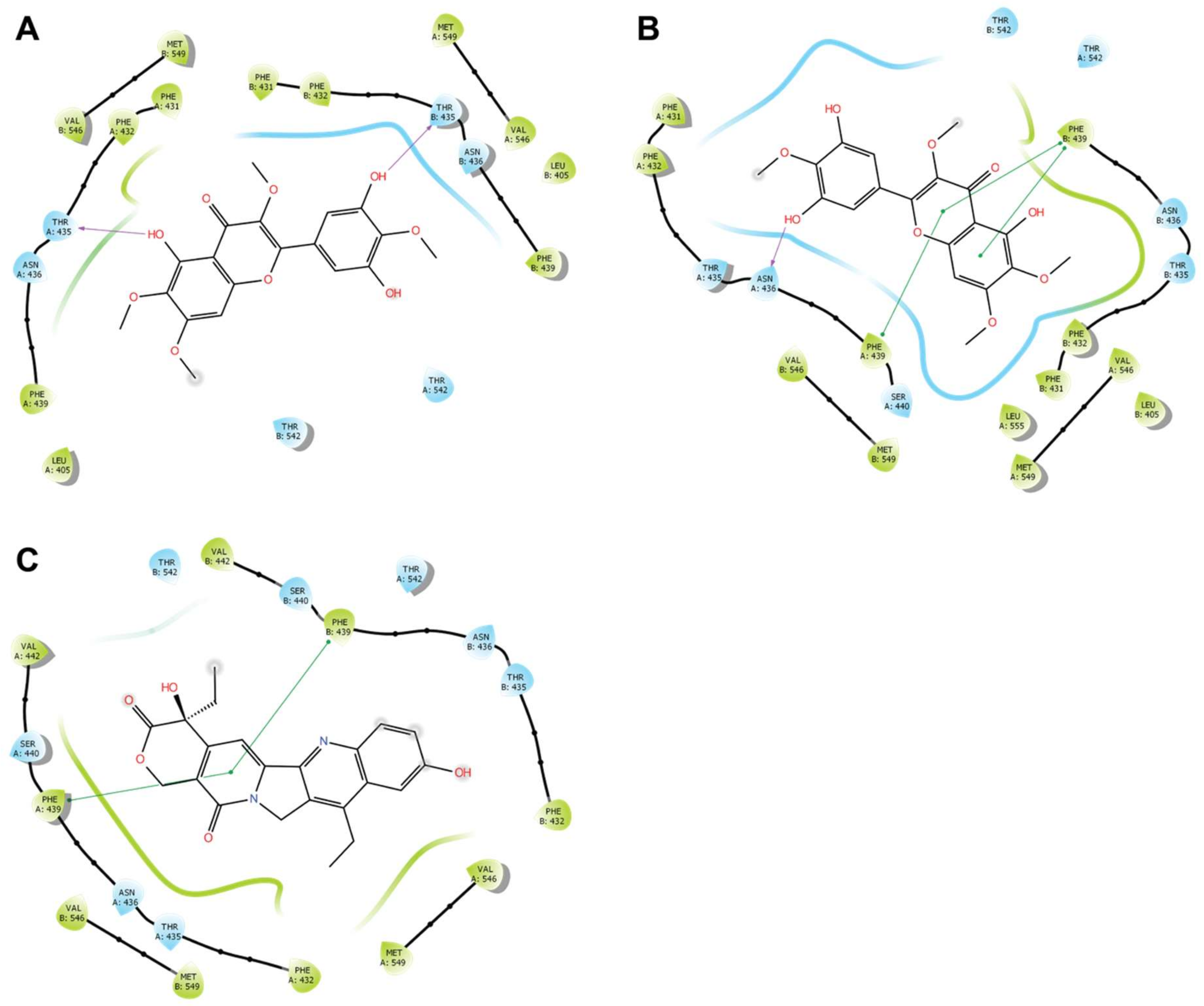 Biomolecules 11 01534 g010
