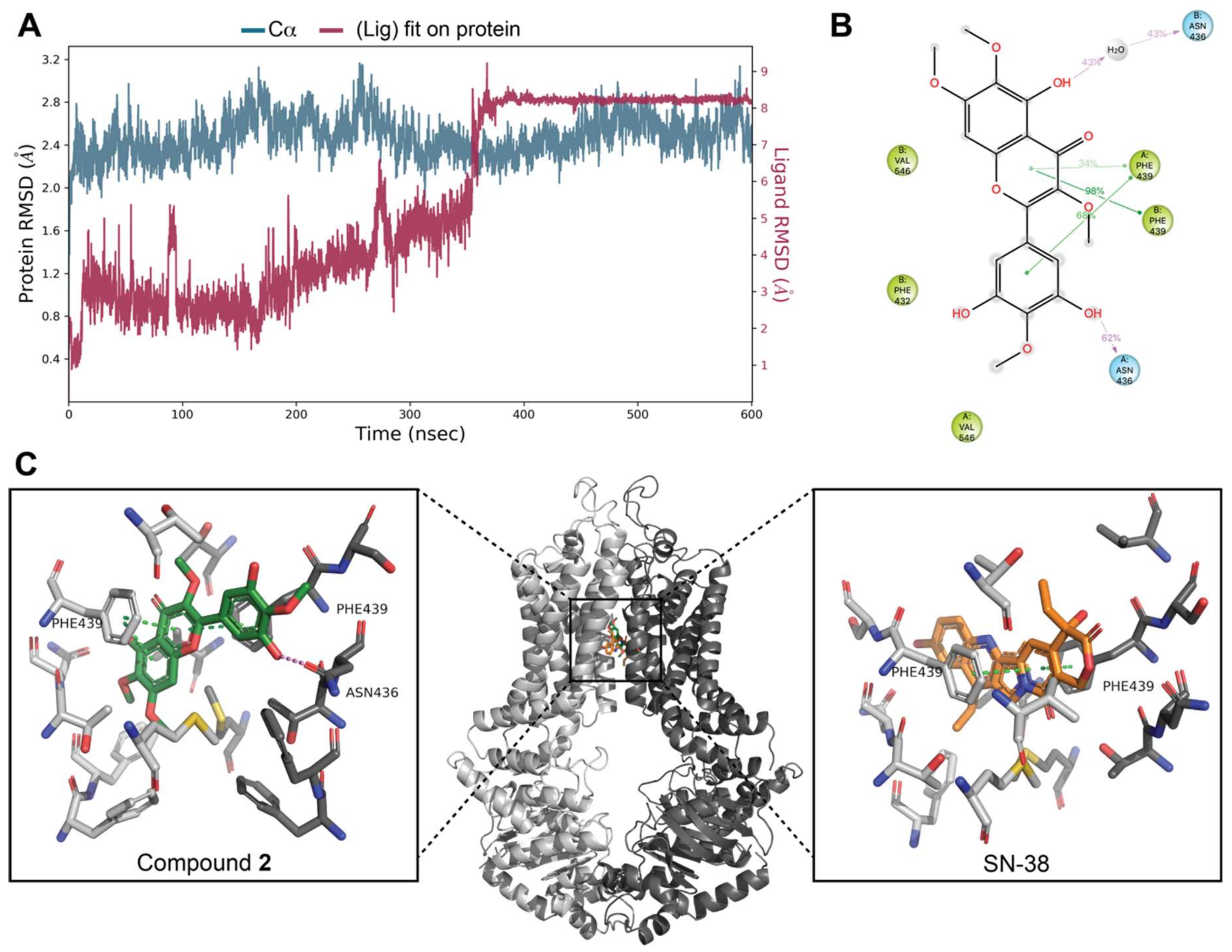 Biomolecules 11 01534 g011