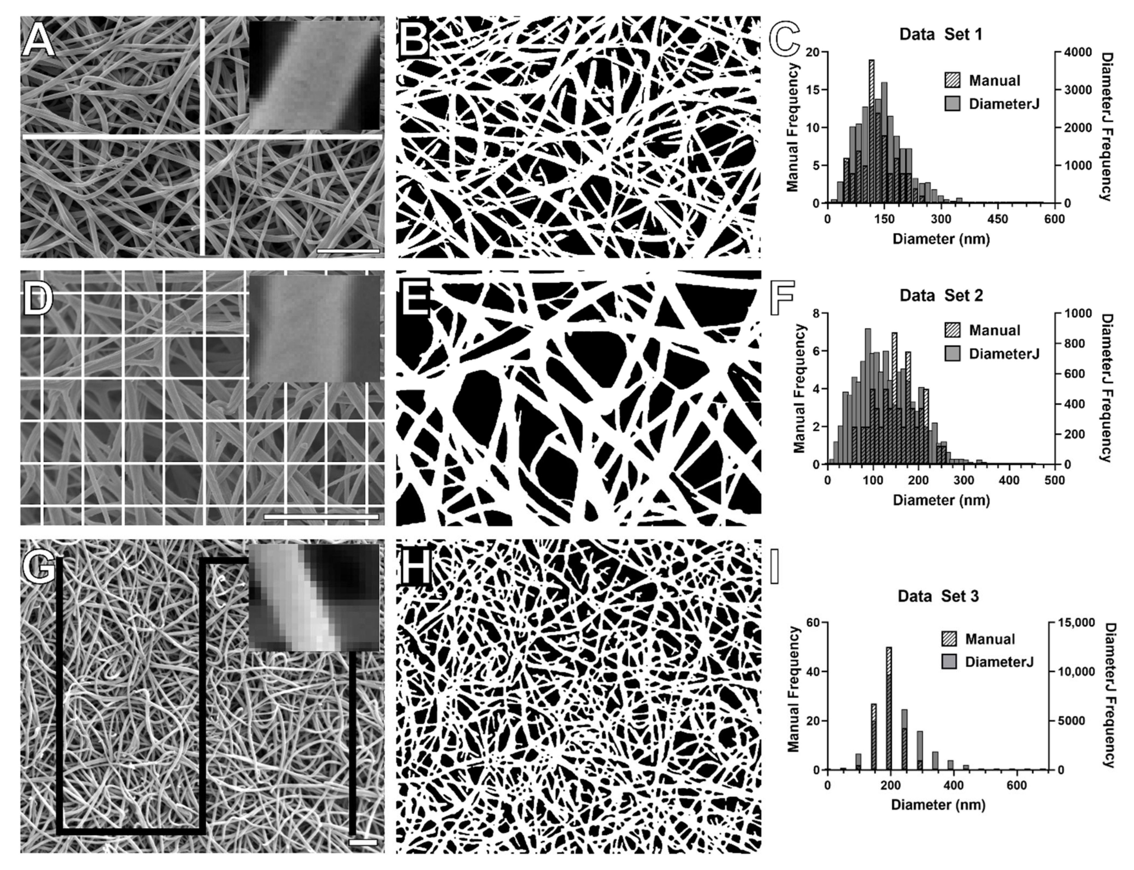 Biomolecules 11 01536 g001