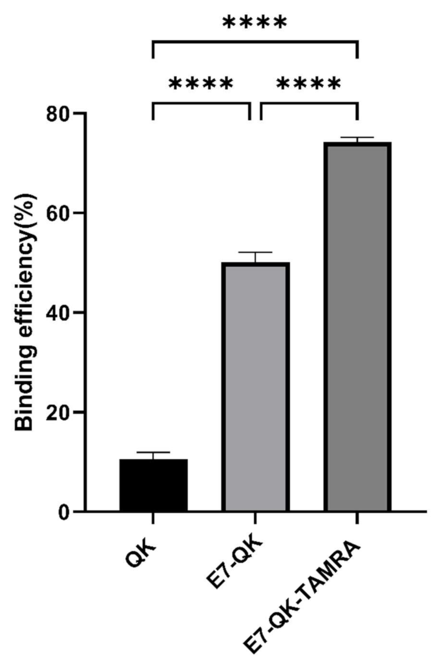 Biomolecules 11 01538 g001