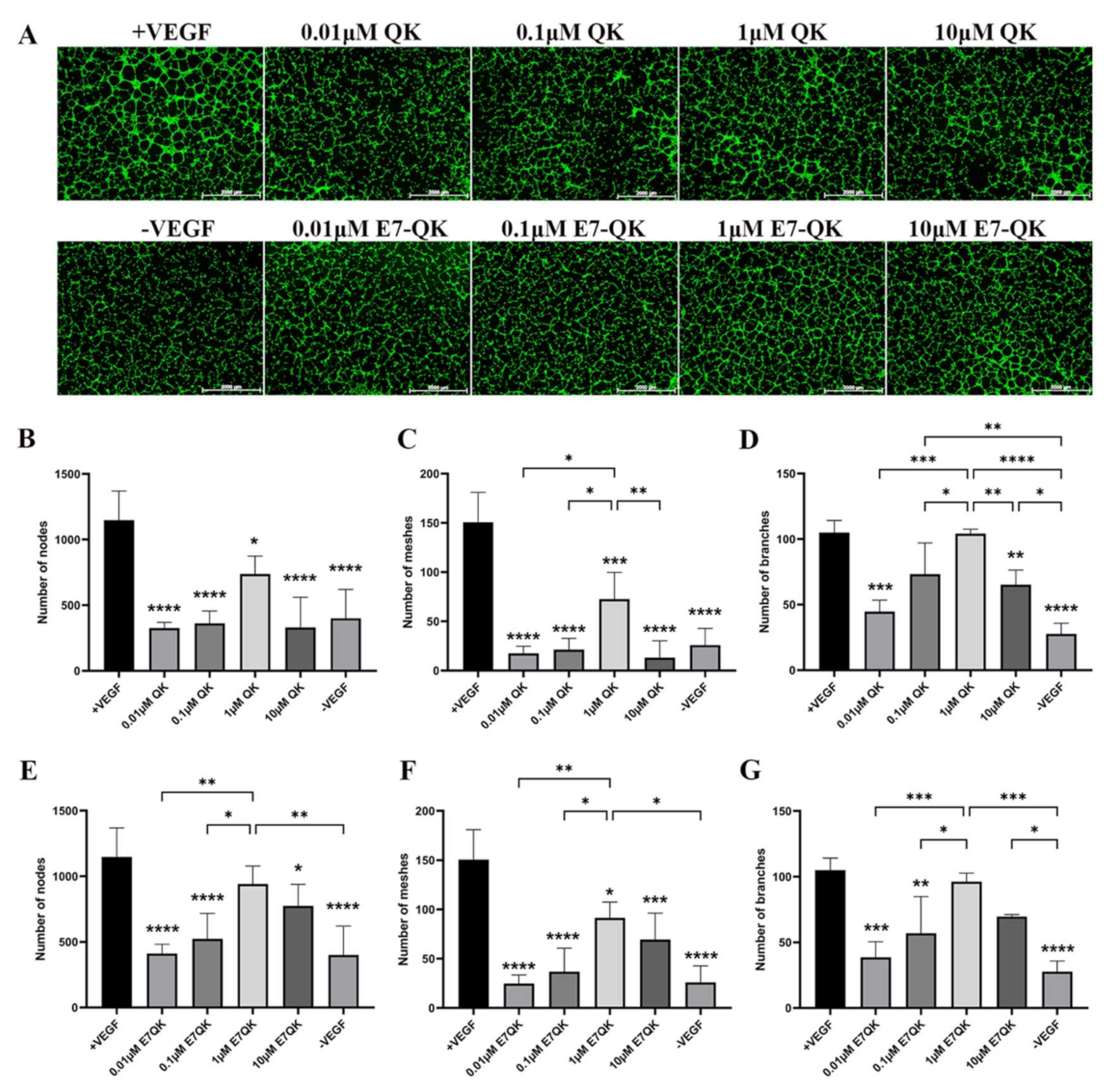 Biomolecules 11 01538 g002