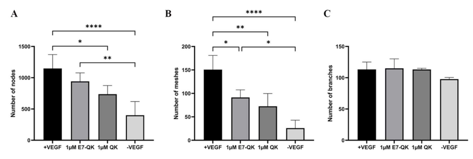 Biomolecules 11 01538 g003