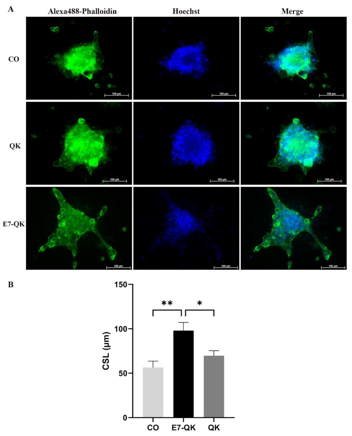 Biomolecules 11 01538 g007