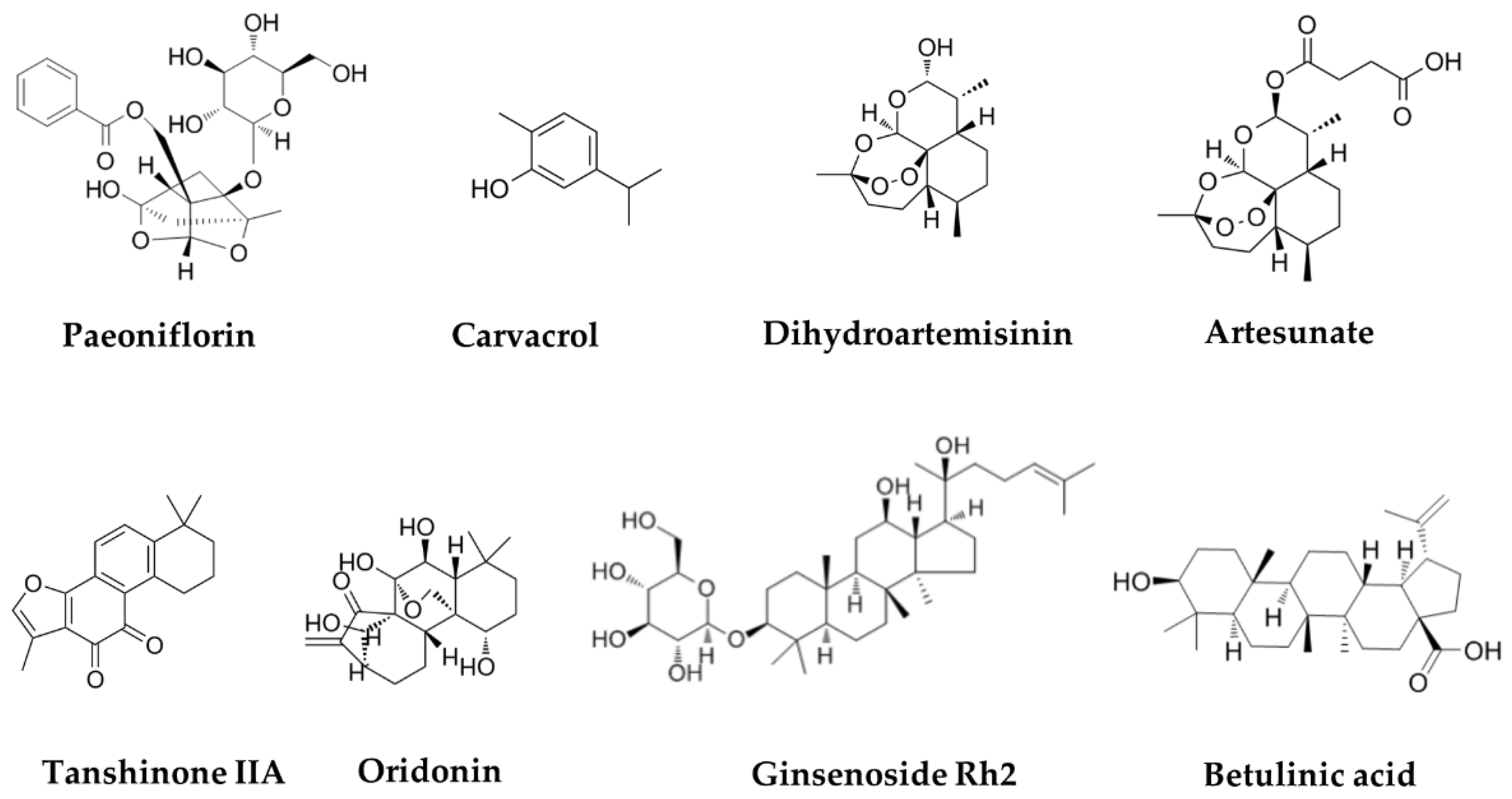 Biomolecules 11 01539 g002
