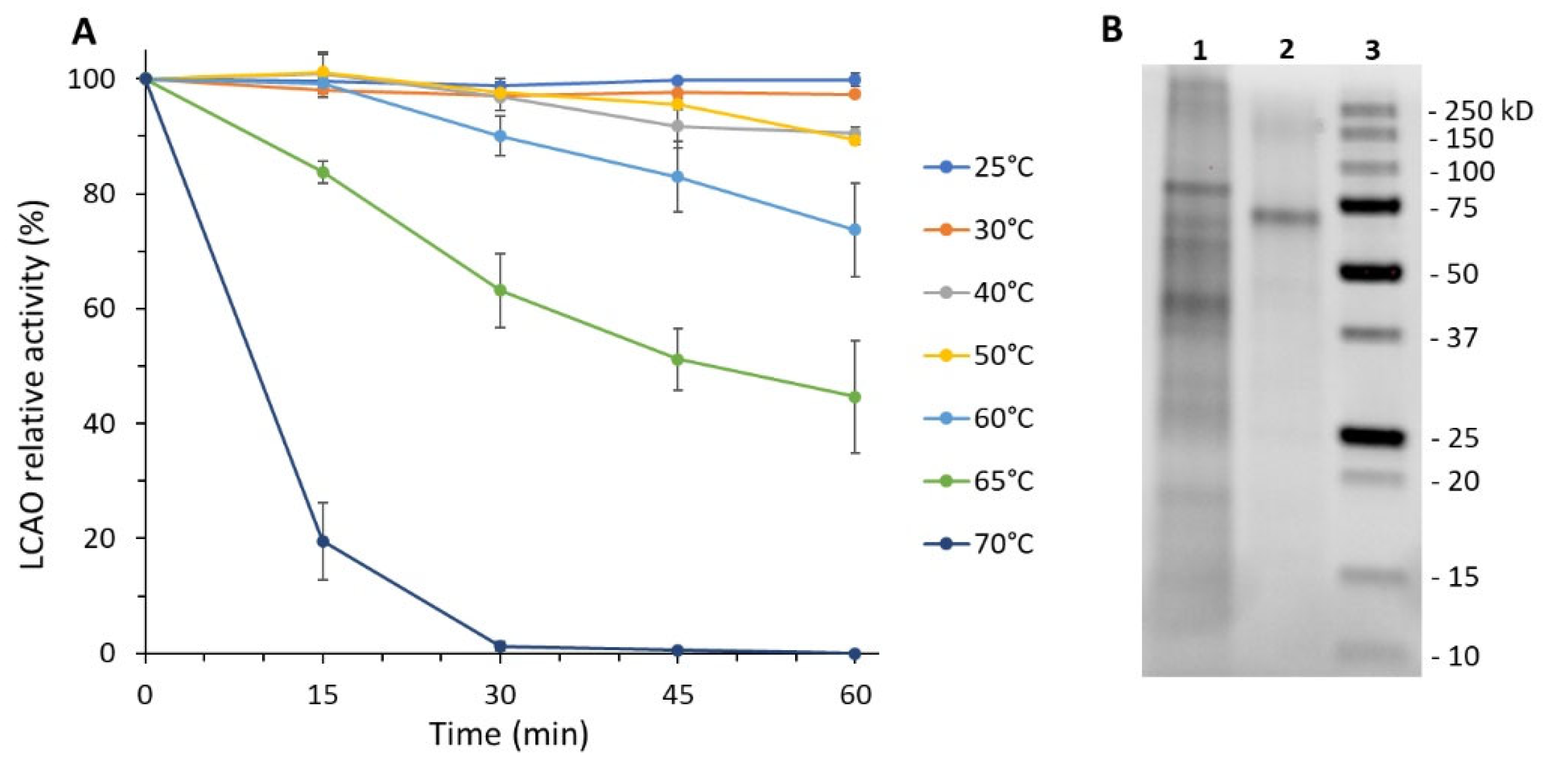 Biomolecules 11 01540 g001
