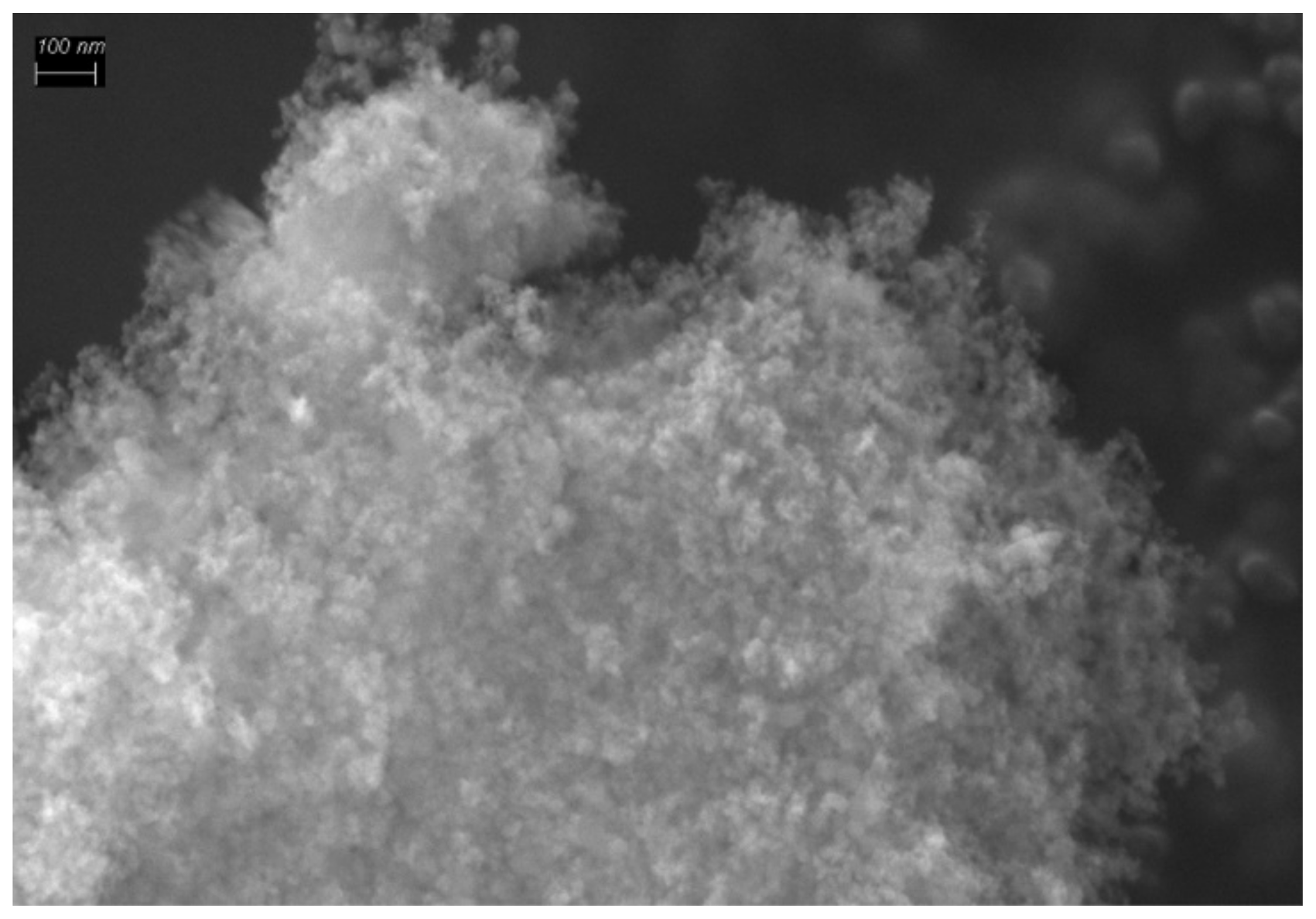 Biomolecules 11 01544 g005