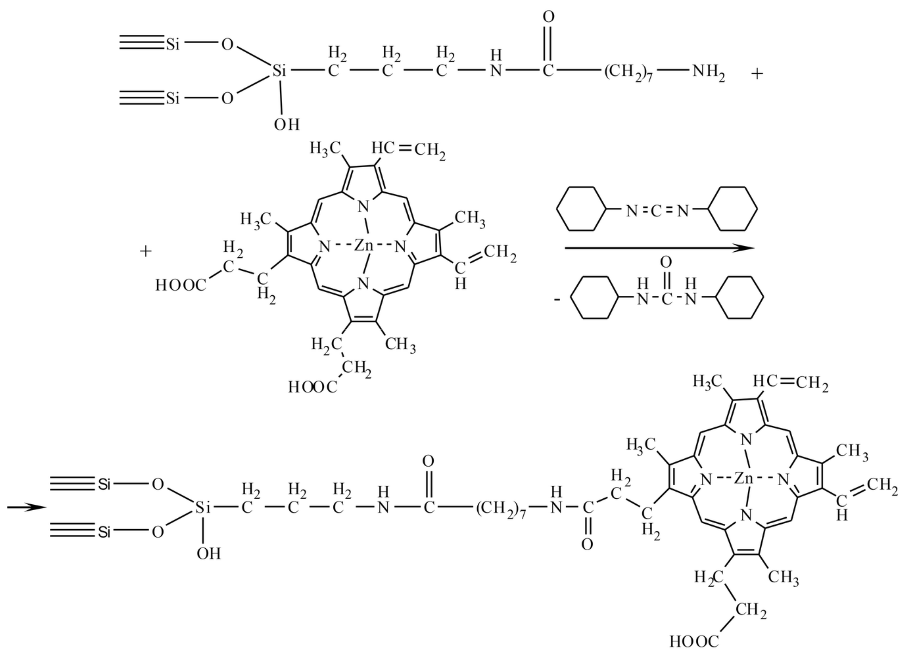 Biomolecules 11 01544 g007