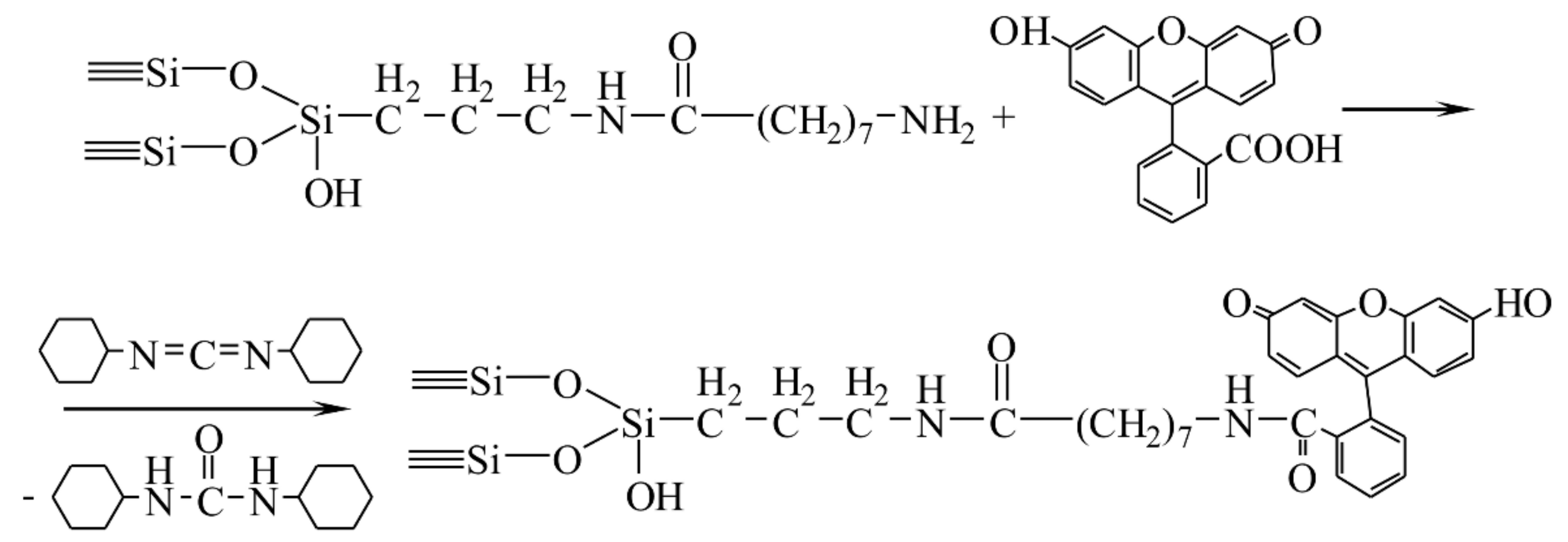 Biomolecules 11 01544 g008