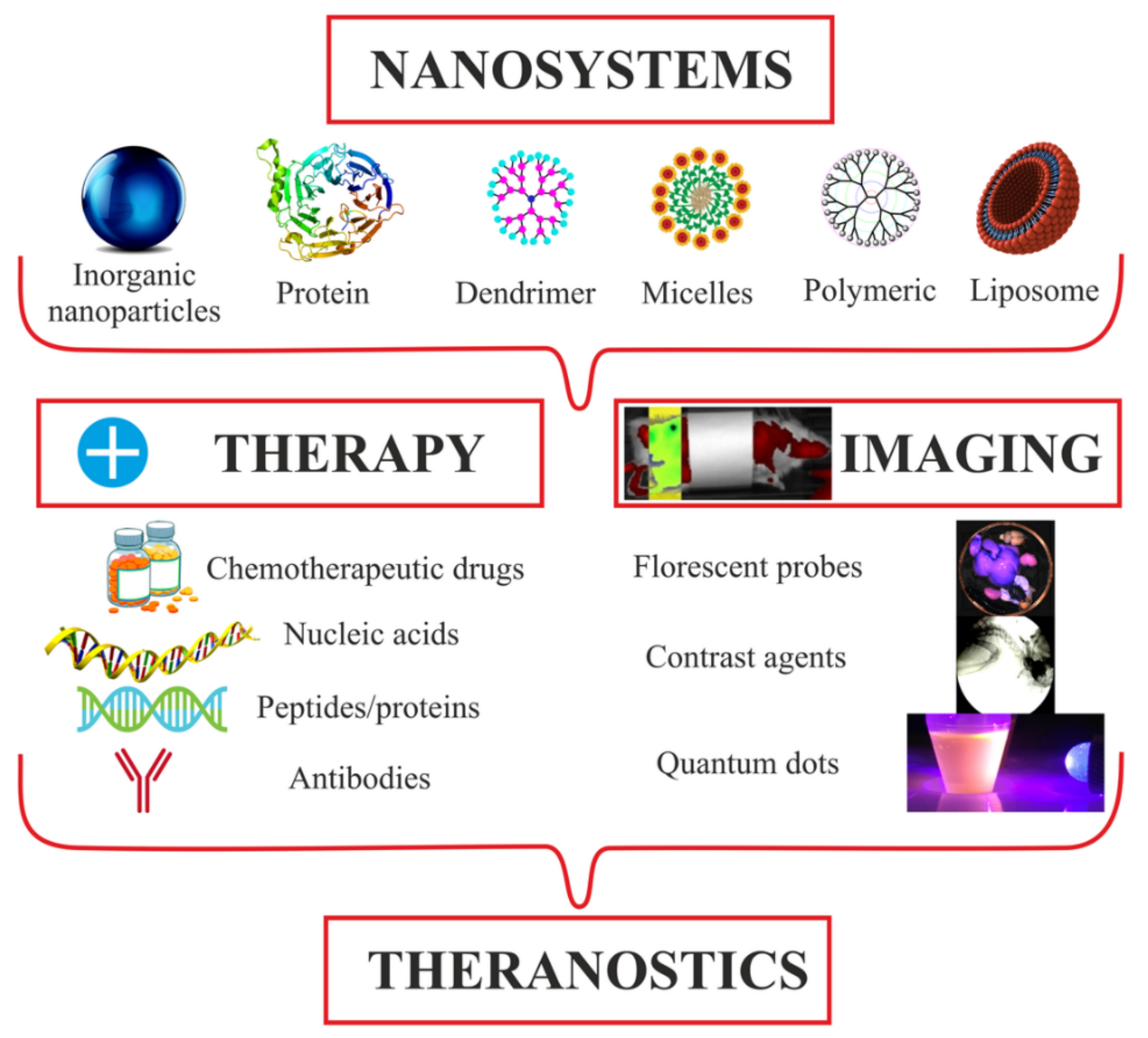 Biomolecules 11 01544 g015