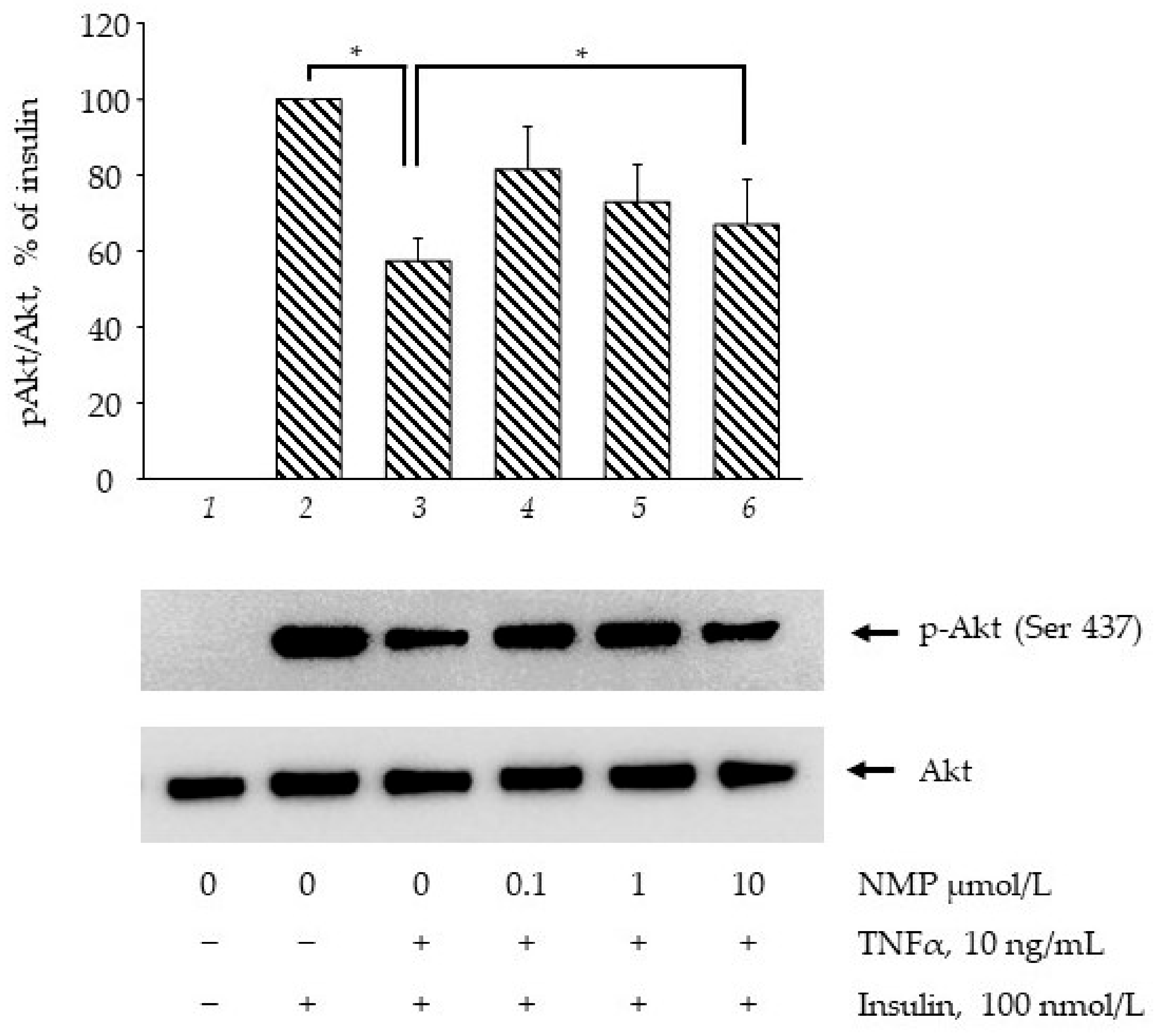 Biomolecules 11 01545 g003