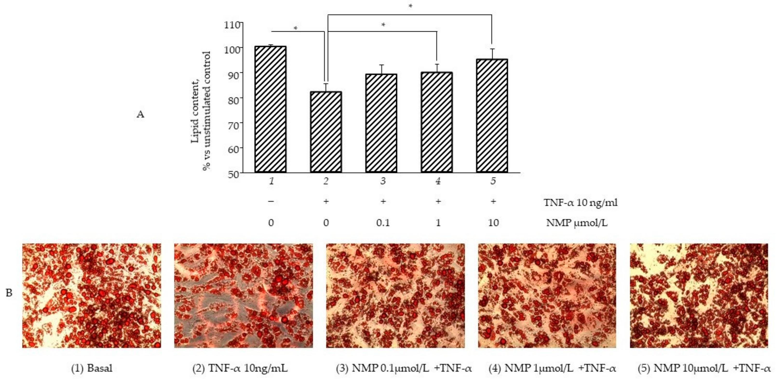 Biomolecules 11 01545 g004