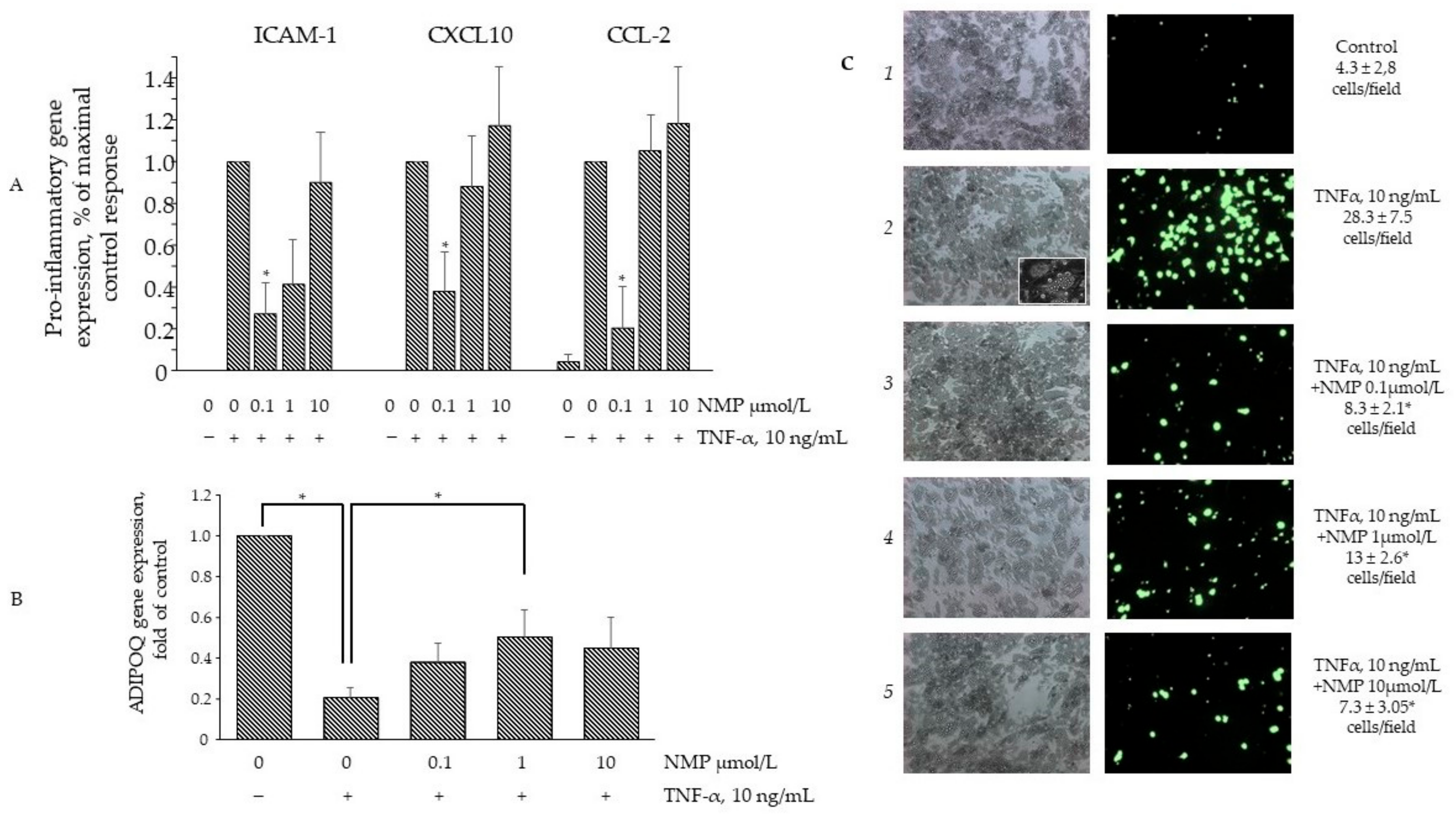 Biomolecules 11 01545 g006