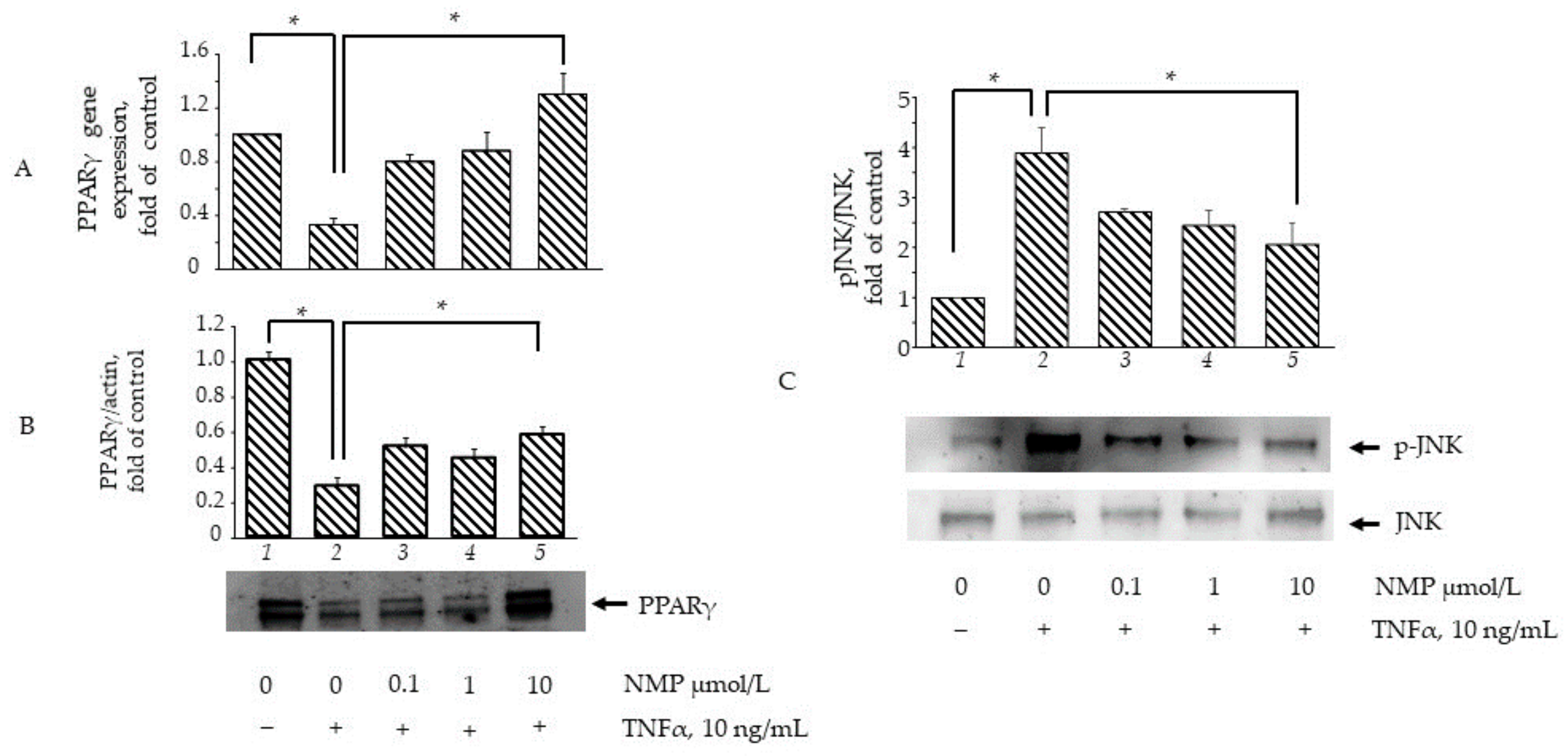 Biomolecules 11 01545 g008