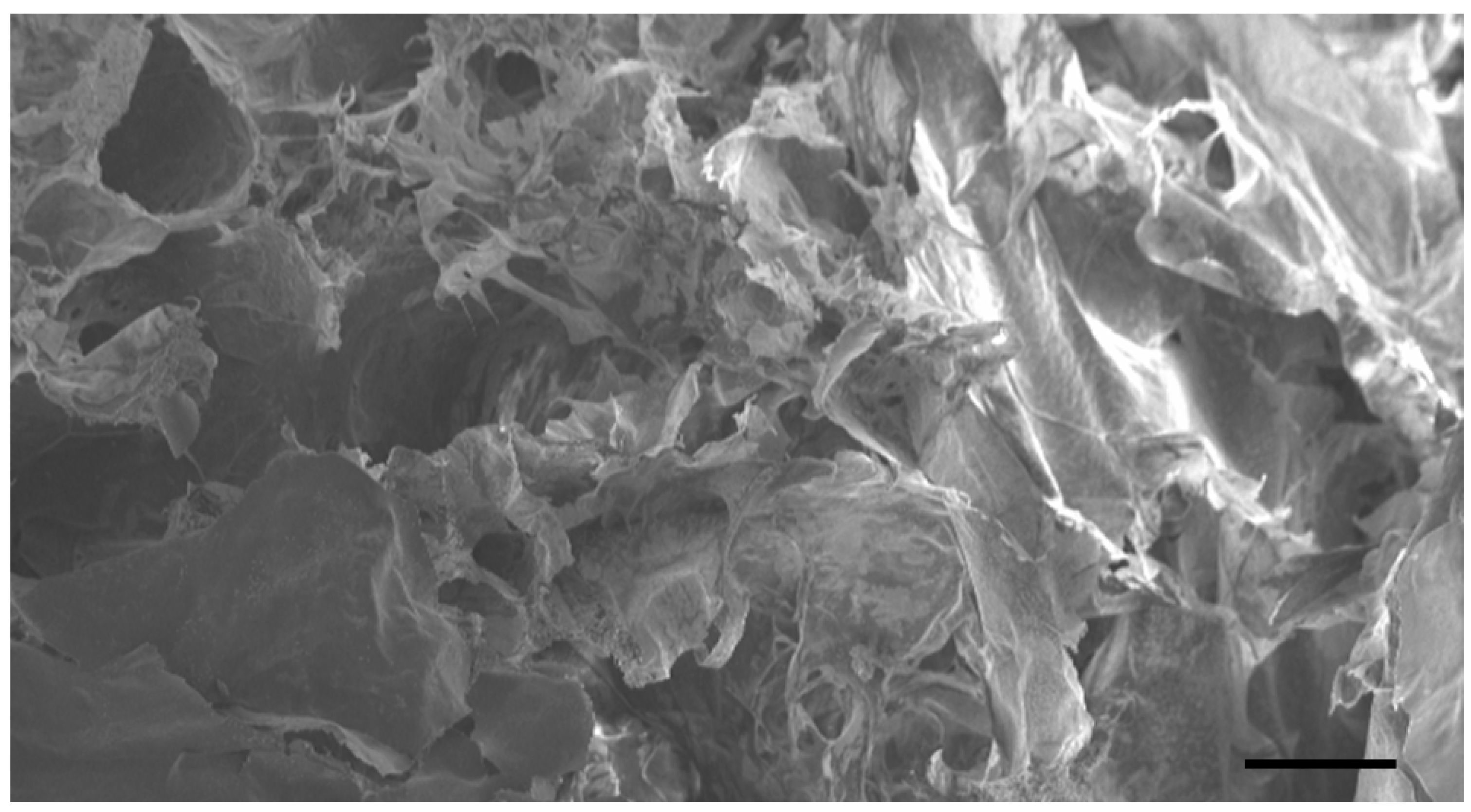 Biomolecules 11 01547 g001