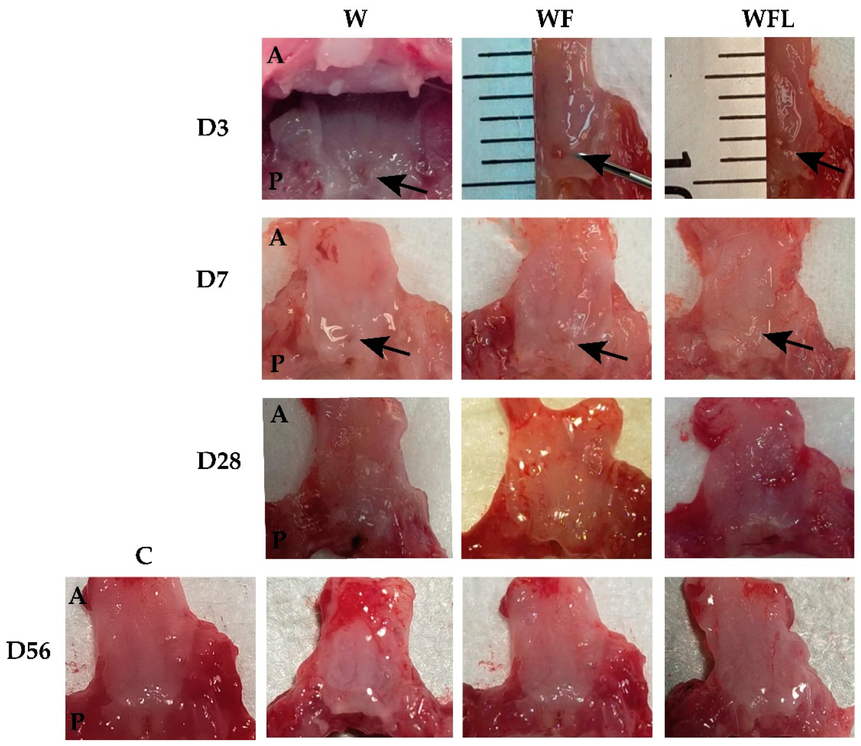 Biomolecules 11 01547 g003