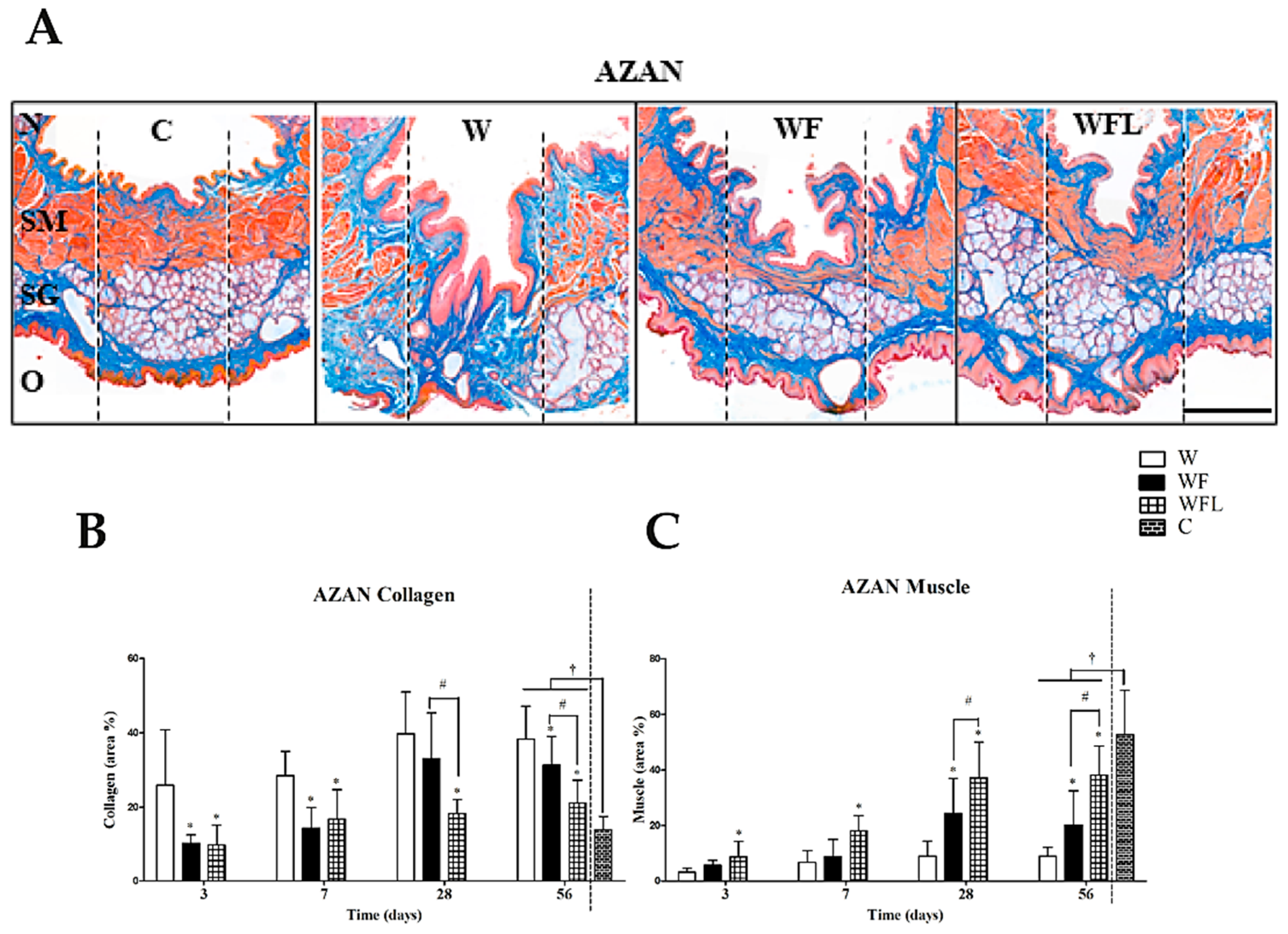 Biomolecules 11 01547 g004