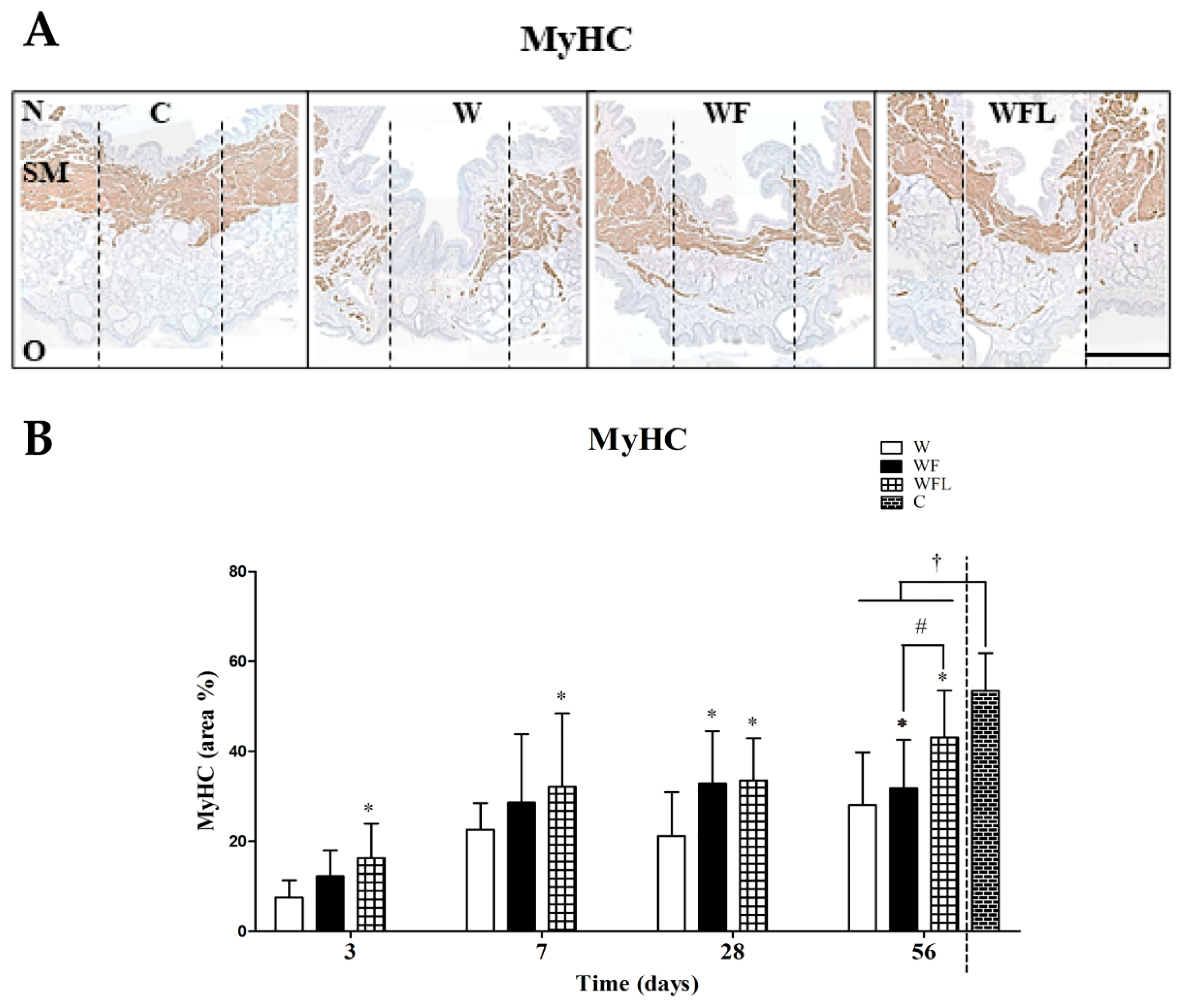Biomolecules 11 01547 g005