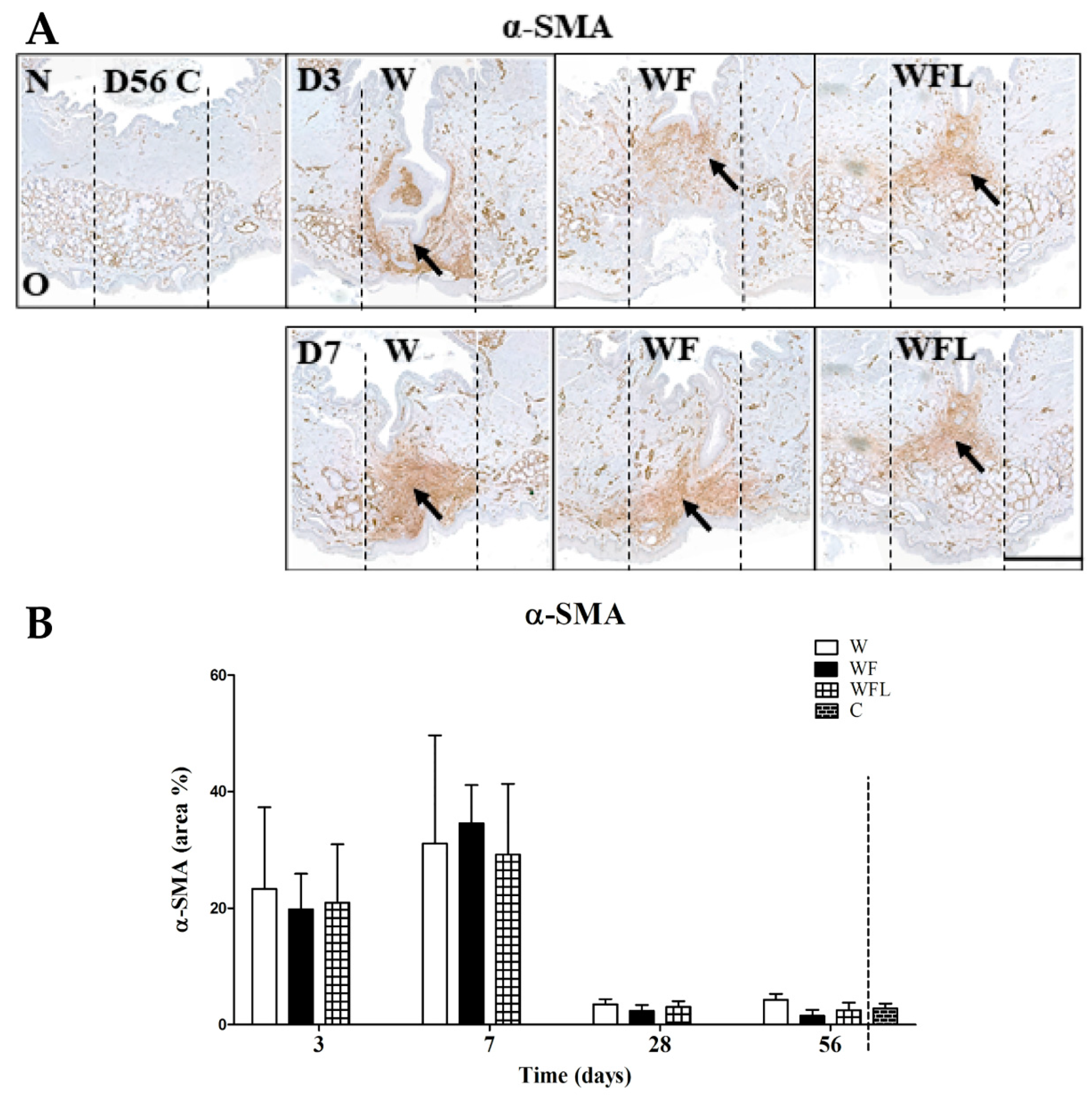 Biomolecules 11 01547 g006
