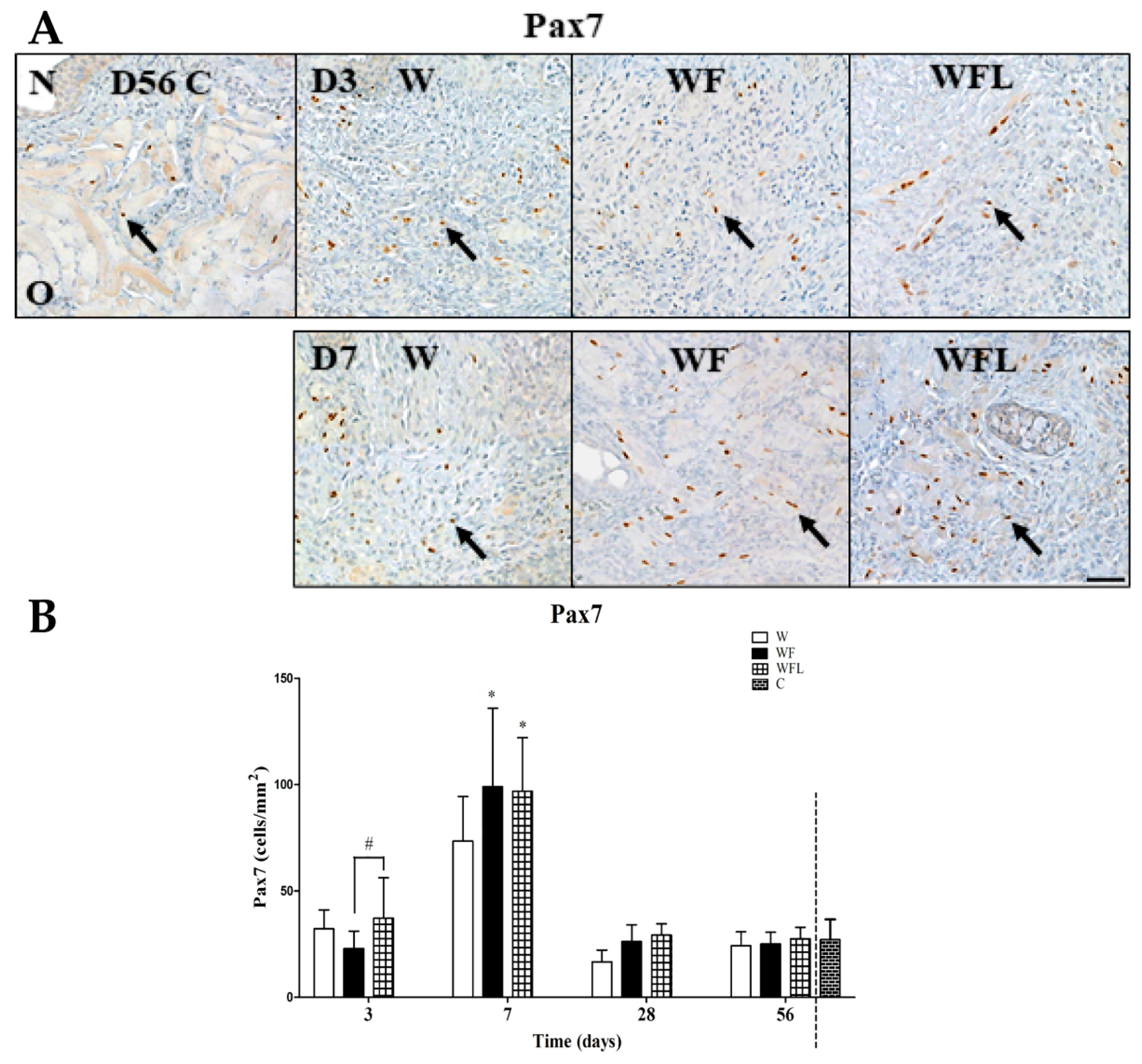 Biomolecules 11 01547 g007