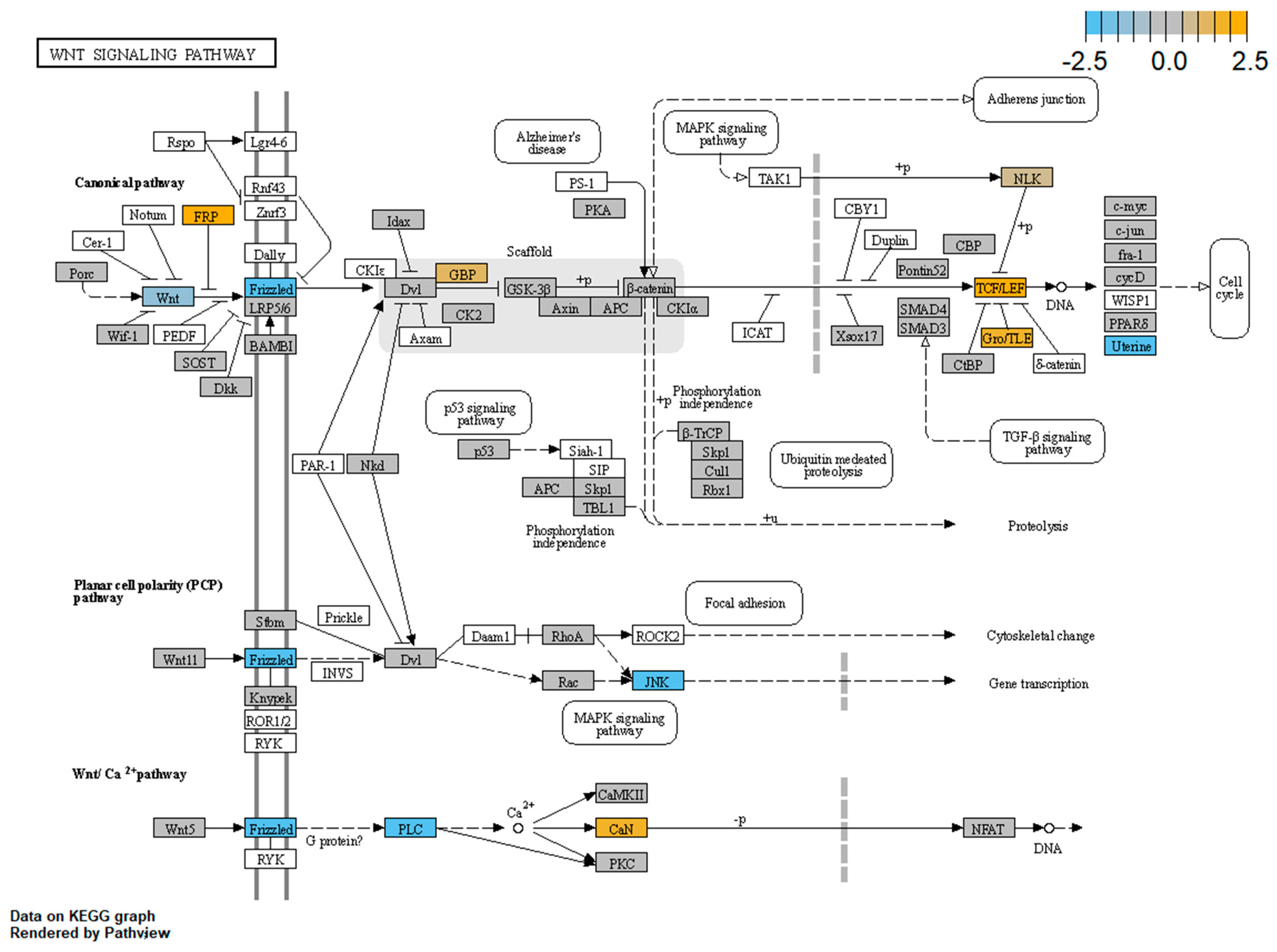 Biomolecules 11 01622 g007