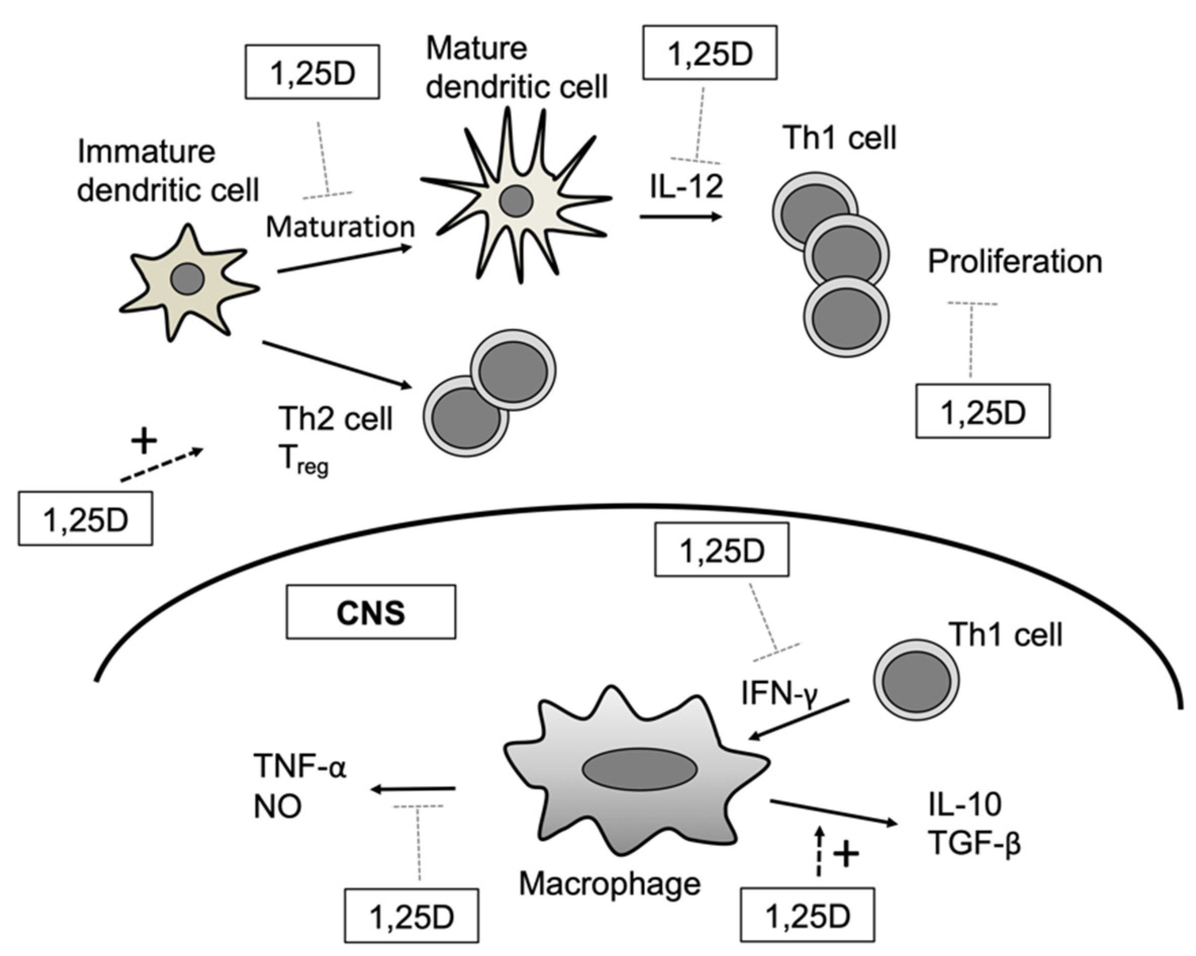 Biomolecules 11 01624 g002
