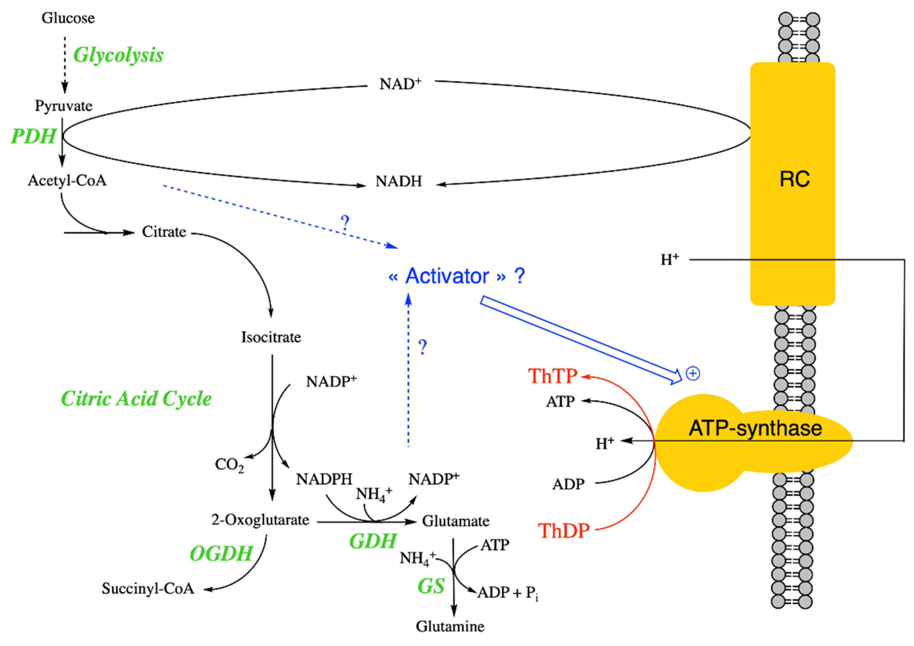 Biomolecules 11 01645 g003