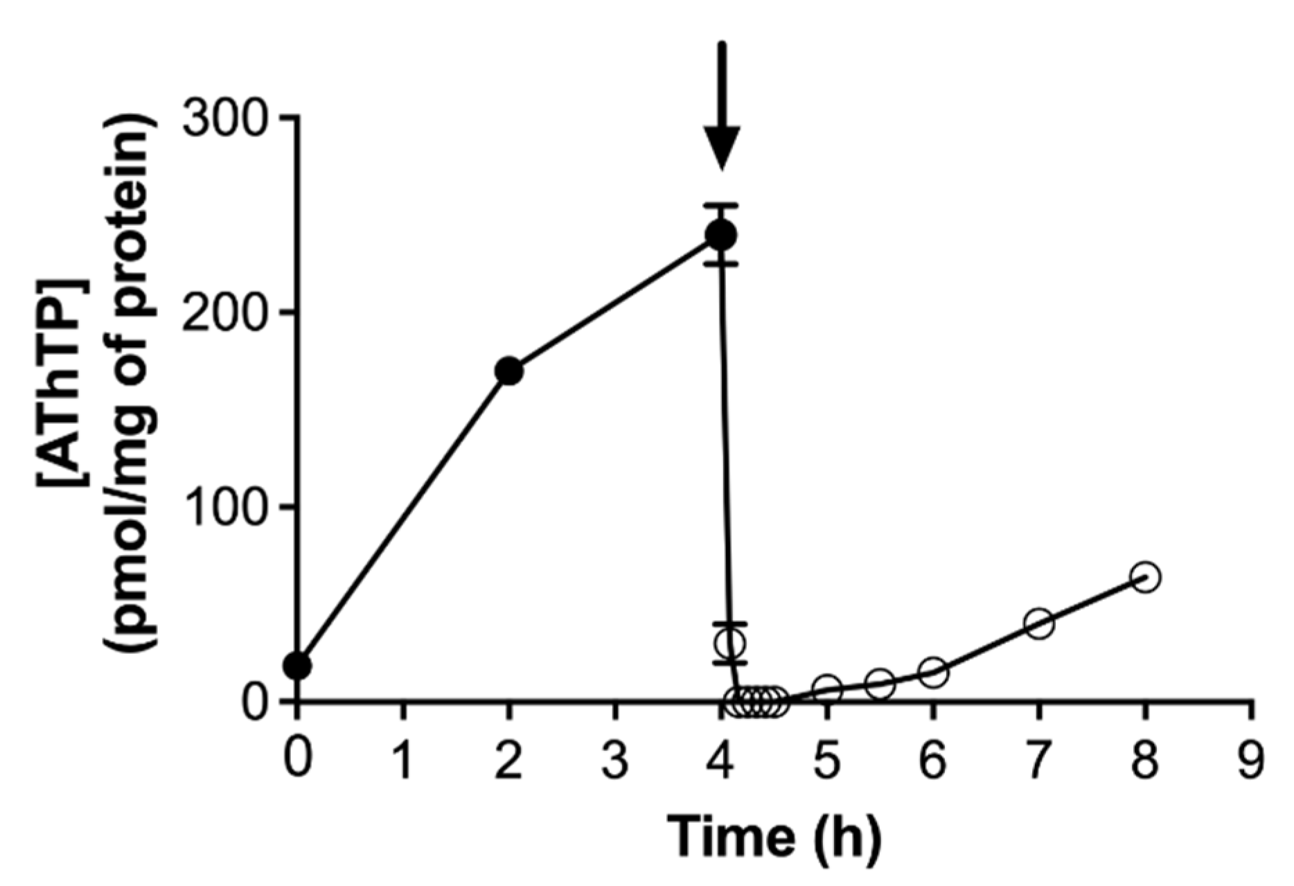 Biomolecules 11 01645 g006