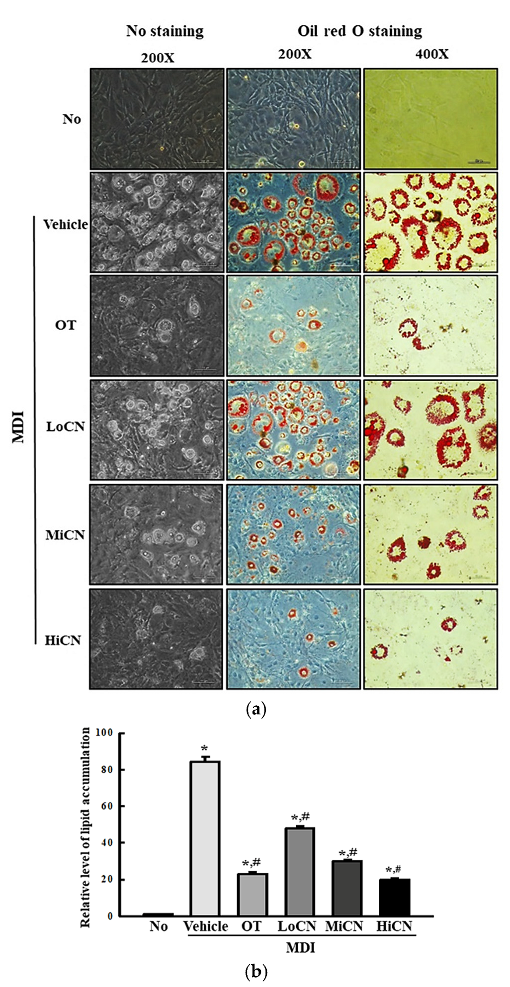 Biomolecules 11 01650 g002