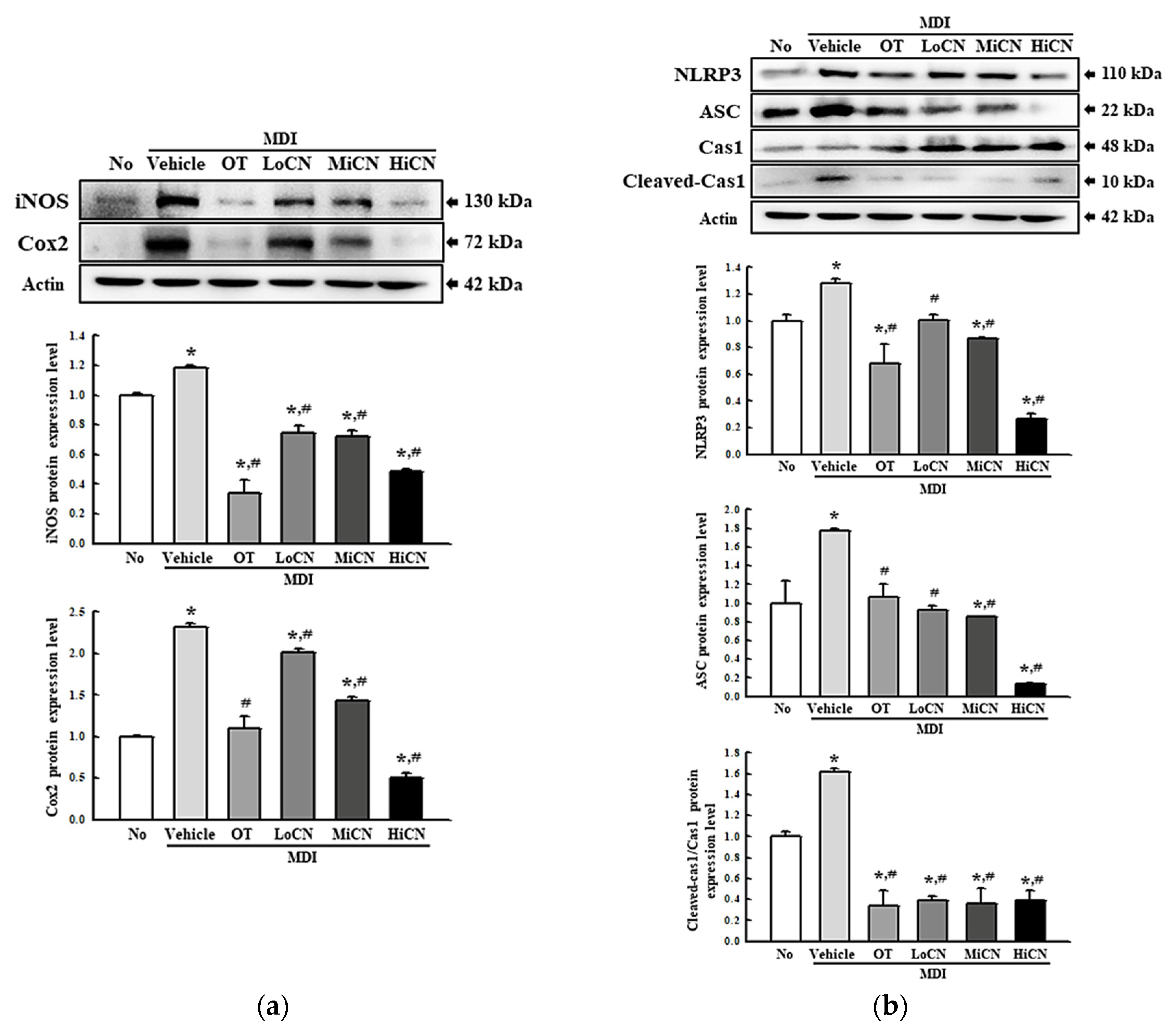 Biomolecules 11 01650 g004