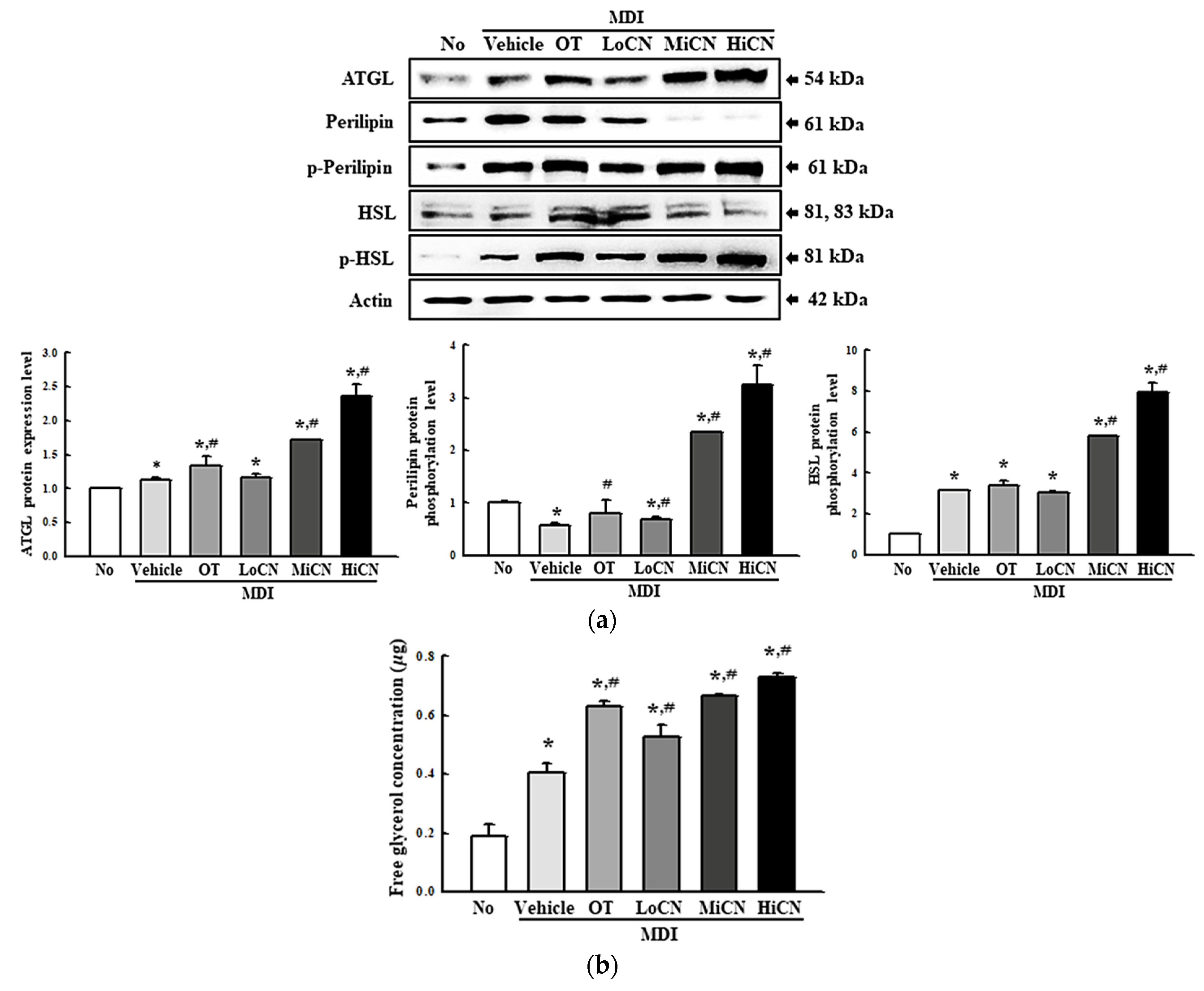 Biomolecules 11 01650 g007