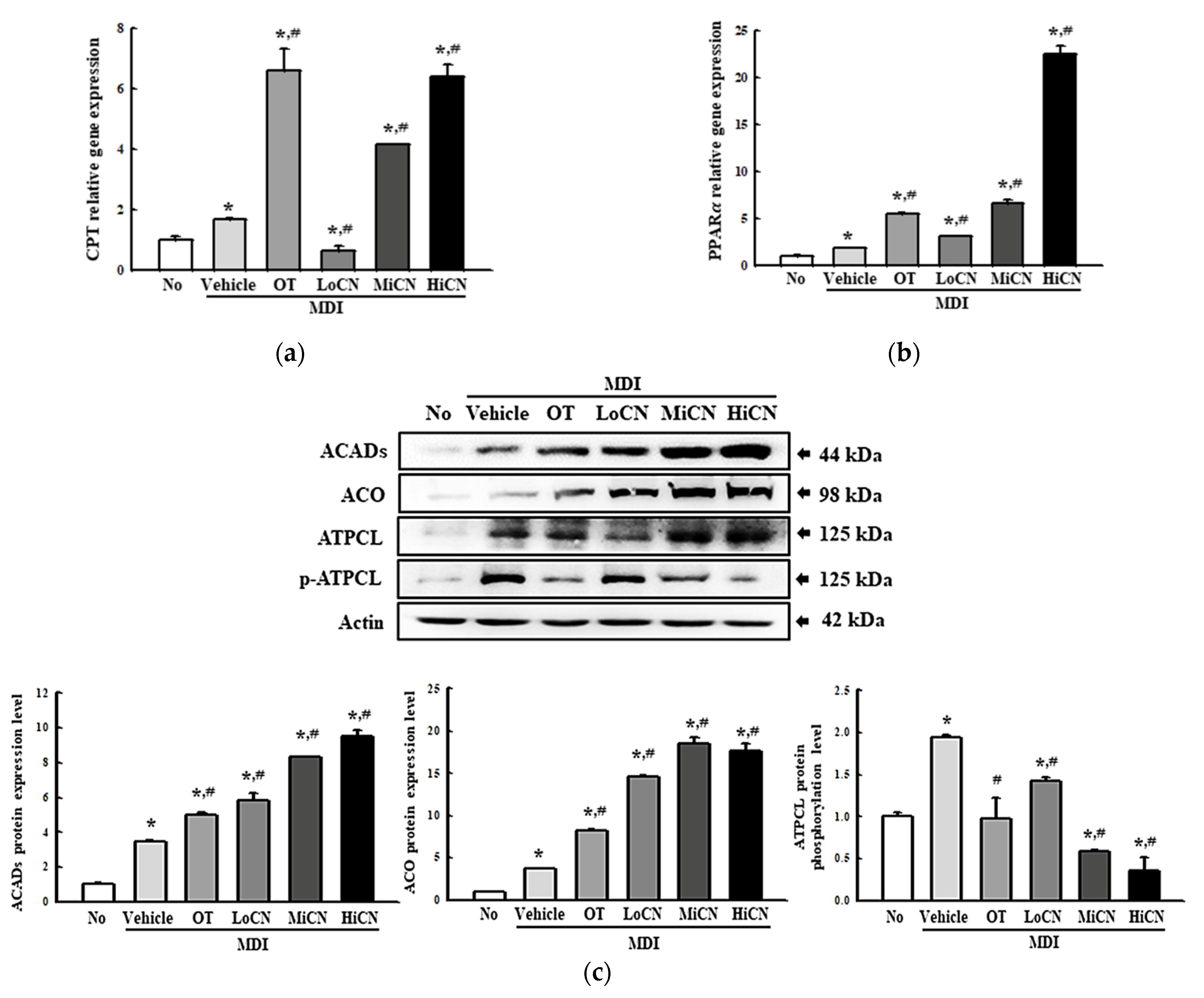 Biomolecules 11 01650 g008
