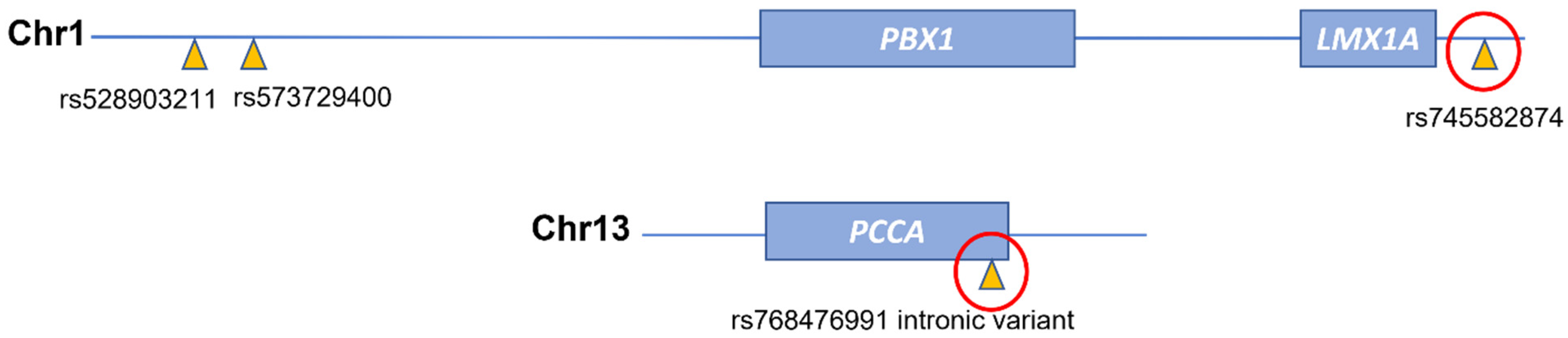 Biomolecules 11 01663 g002