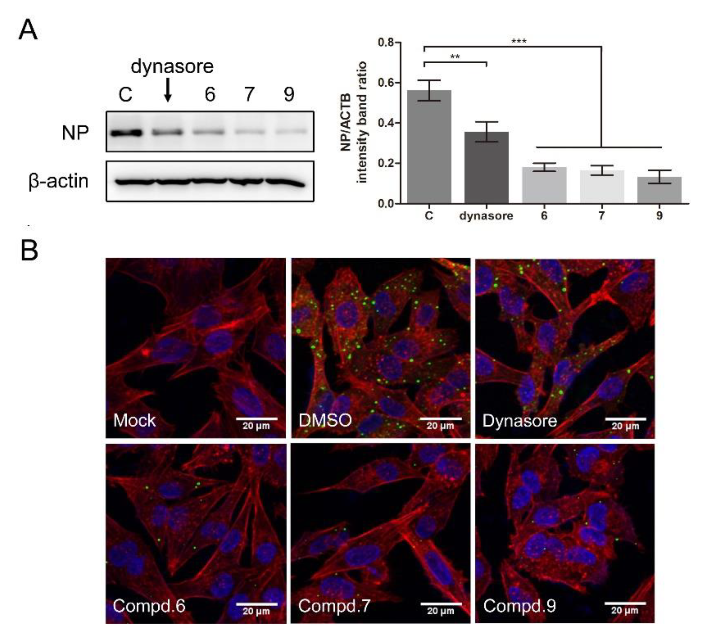 Biomolecules 11 01687 g006