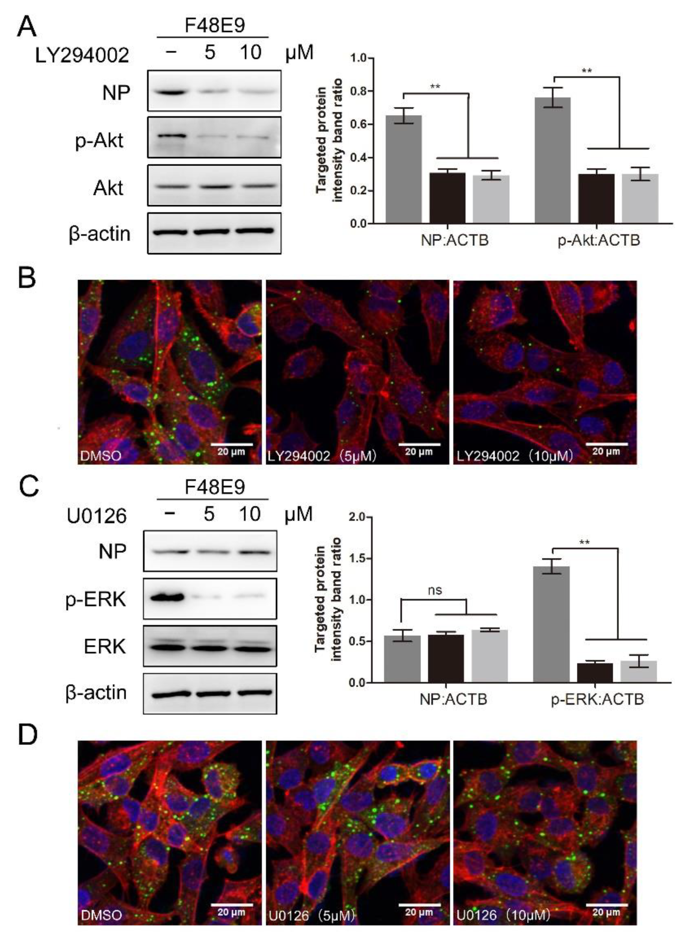Biomolecules 11 01687 g008