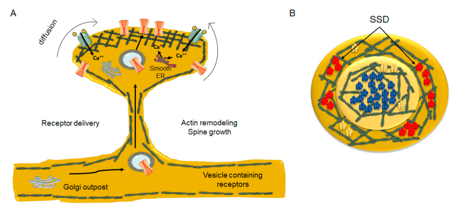 Biomolecules 11 01697 g004