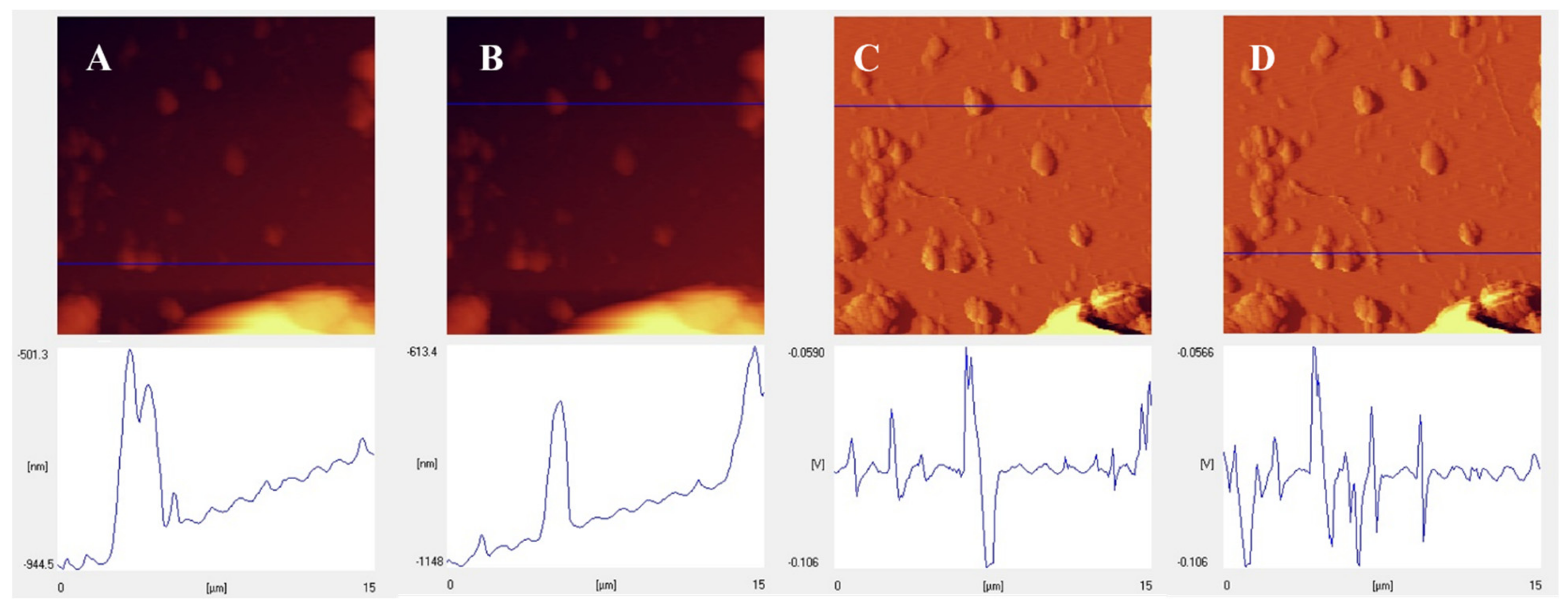Biomolecules 11 01714 g003
