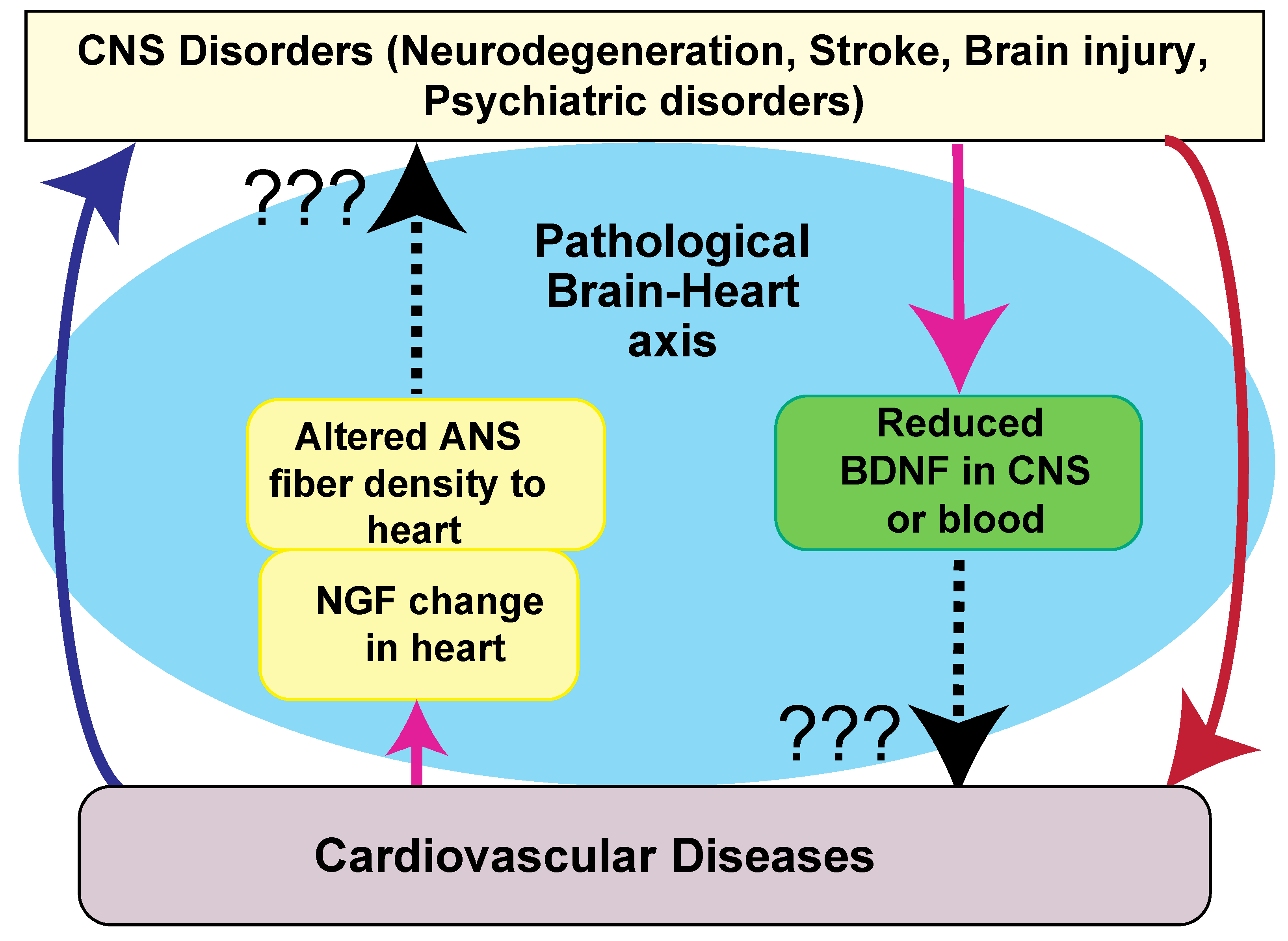 Biomolecules 11 01730 g002